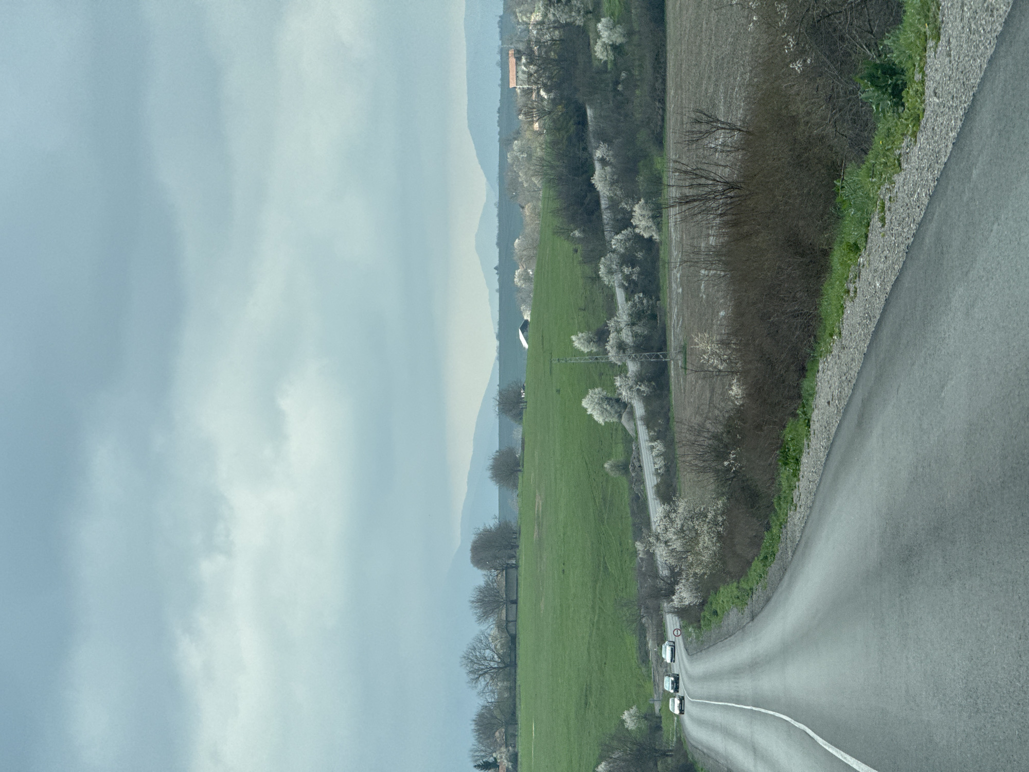 The image shows a winding asphalt road bordered by a gravel edge and sparse vegetation. Adjacent to the road is a field of green grass, lined with trees and blossoming white flowers. In the distance, rolling hills are visible under a cloudy sky. A building with a red roof is also visible in the distance. Three cars are traveling on the road. The location appears to be in a rural area. I have no information to determine that this is the city of Probuda in Bulgaria.