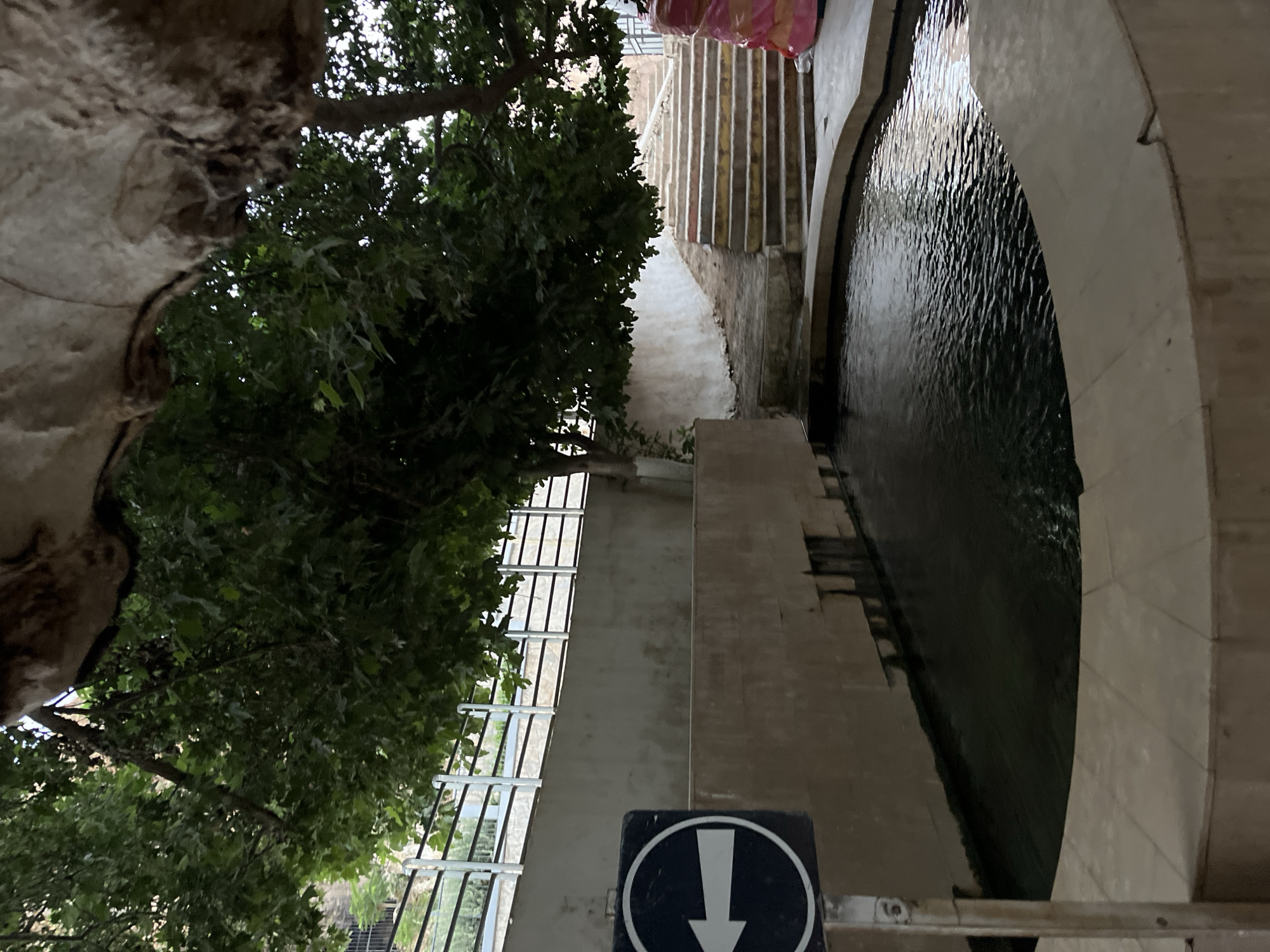The image shows a pool of dark water with ripples on its surface, suggesting it is a natural spring or fountain. The pool is bordered by light-colored stone paving. To the left of the pool is a dark blue sign with a white arrow pointing to the left, mounted on a metal pole. Behind the pool, a light-colored concrete wall runs along the edge. Further back, a set of outdoor stairs with alternating yellow and light-colored steps ascend a slight incline. The stairs are bordered by a white wall on the left and a pinkish-red object, possibly a tarp or bag, on the right. Lush green trees overhang the scene from above, casting shadows. In the background, a metal railing separates the area from a slope covered in vegetation. The environment appears to be an outdoor public space, likely a park or a historical site within the city of El Hajeb, Morocco.