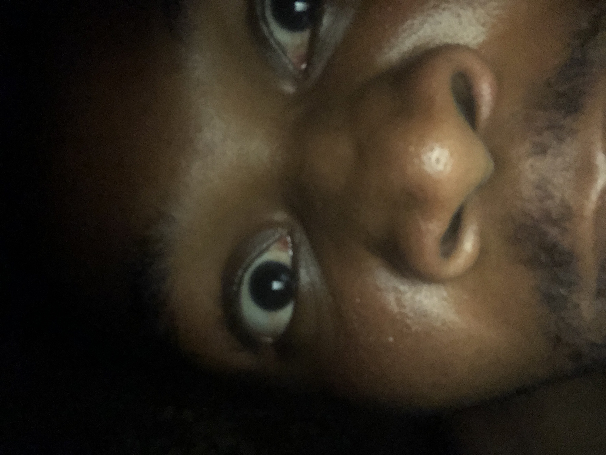 A close-up, slightly off-center shot of a person's face, tilted towards the left. The person has dark skin, a prominent nose, and dark eyes that are gazing directly at the camera. The right side of the face is partially obscured by shadow. There is stubble visible on the right side of the face, suggesting facial hair. The location in the city is Unknown, Unknown.