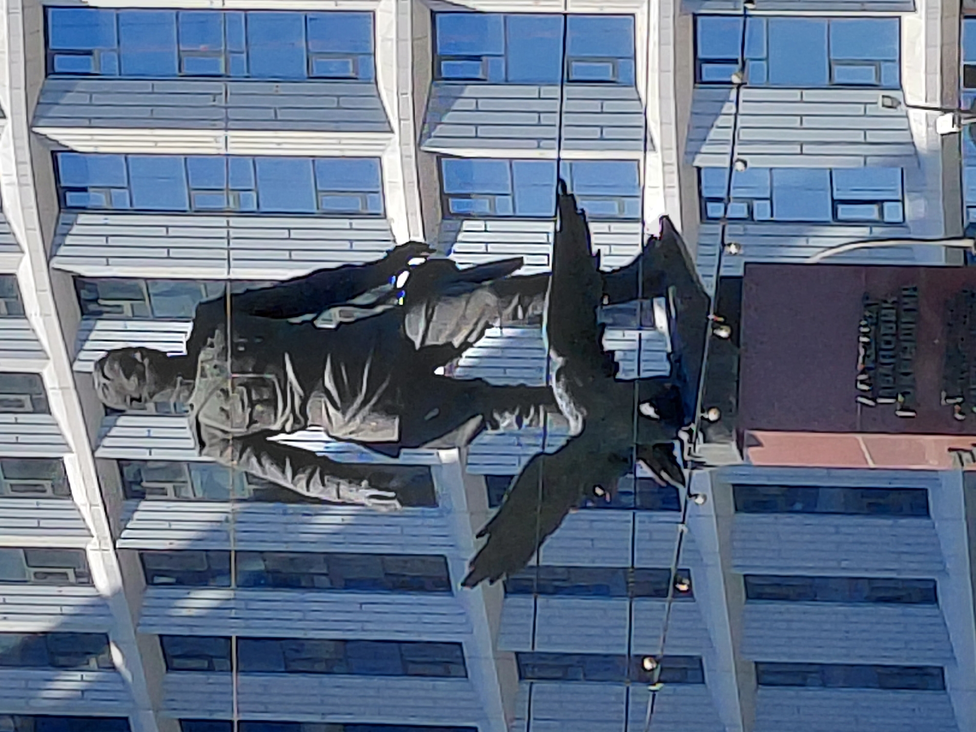 A statue of a man in military uniform stands atop a pedestal in front of a modern building. The statue depicts the man in a stern pose, with his right leg forward and his arms at his sides. He is wearing a uniform with a jacket, trousers, and boots. A bird of prey, possibly an eagle, is perched on a branch below the man's feet. The building behind the statue is tall and made of glass and metal, with a pattern of vertical lines. The sky is clear and blue. The statue is located in Novosibirsk, Russia, and is a monument to Marshal Georgy Zhukov.