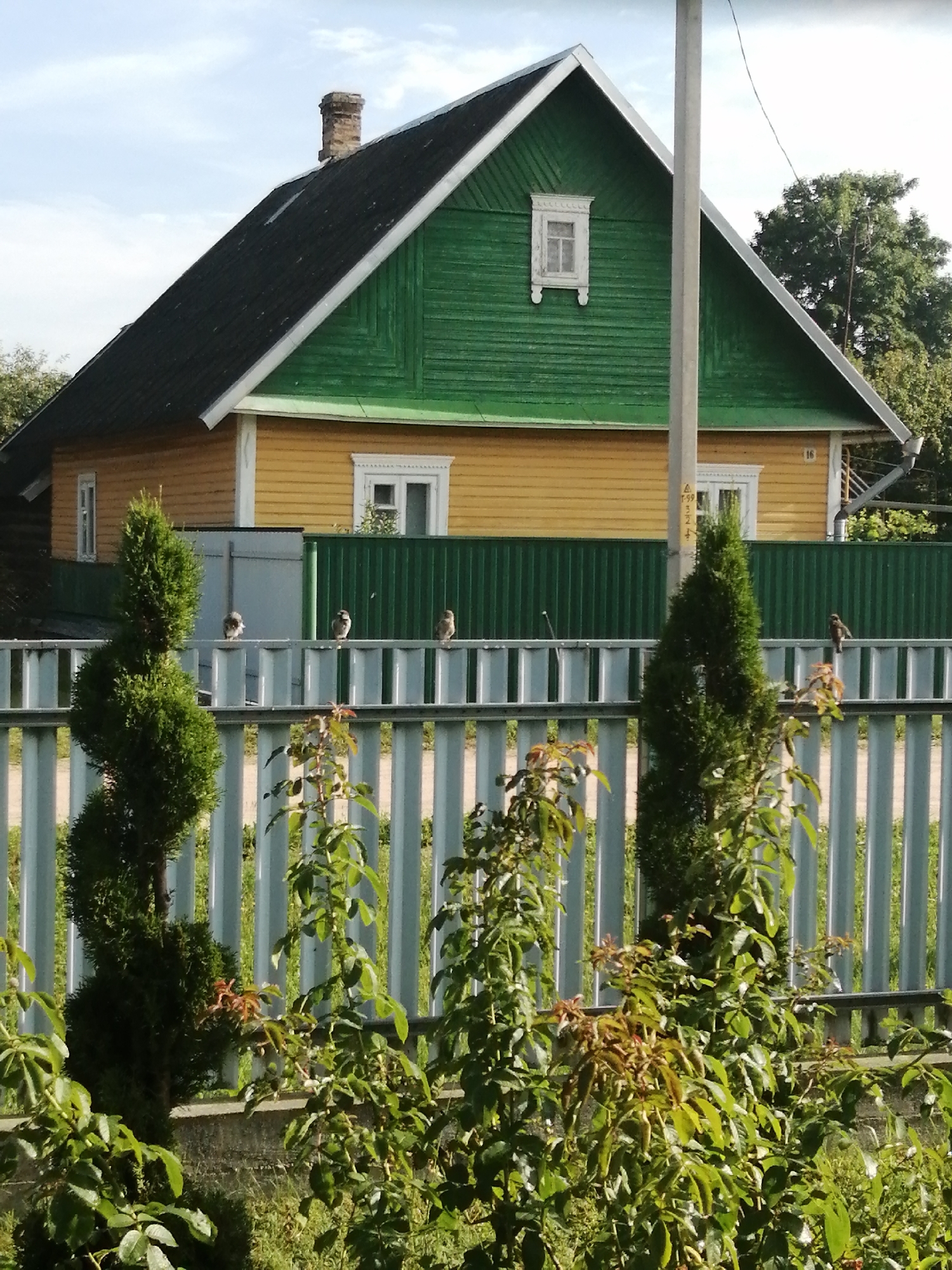 A rural scene in Slonim, Belarus, depicts a single-story yellow house with a green gabled roof and a brick chimney. The house has white-trimmed windows and a green metal fence in front of it. A pale grey metal fence with vertical slats is positioned in front of the green fence, and several small birds are perched on this fence. In the foreground, lush green bushes and plants obscure the lower portion of the scene.