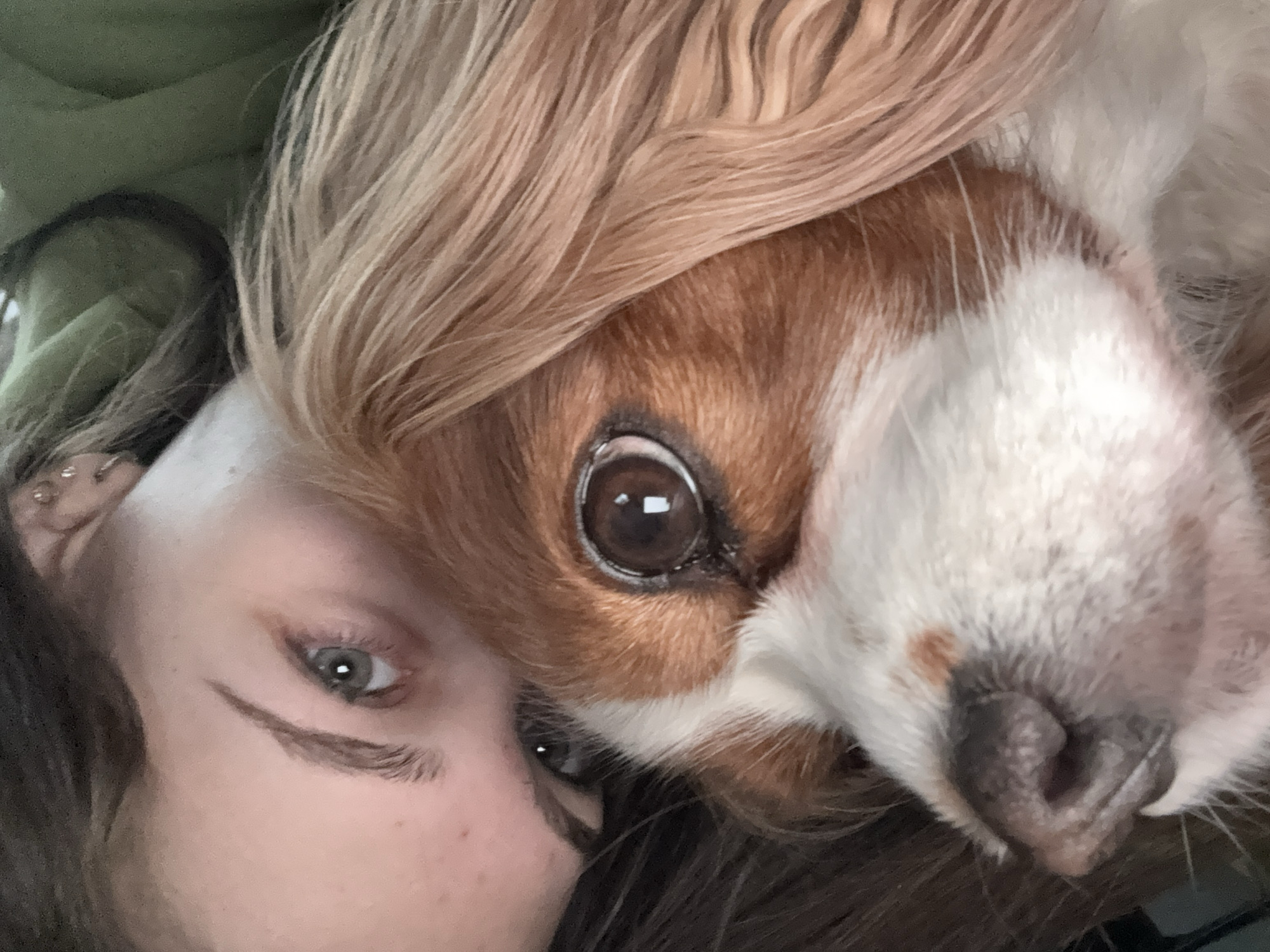 A close-up selfie shows a person and a Cavalier King Charles Spaniel-type dog with a tricolor coat (brown, white, and blonde) positioned closely together. The person's face is partially visible, showing their eye, eyebrow, and part of their cheek. The dog's face is prominent with its large brown eyes, white muzzle, and brown and white fur. Both are looking directly at the camera. The location is indiscernible based on the visual information provided. There is nothing in the image that indicates the city of Sofia, Bulgaria.