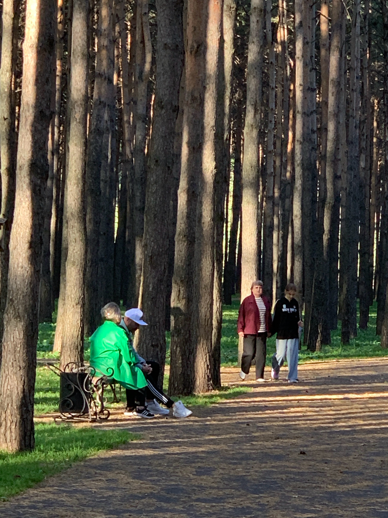 The image captures a sun-dappled scene in a forest, possibly a park, with tall pine trees casting long shadows. In the foreground, a man wearing a white cap and a bright green jacket sits on an ornate metal bench next to another person, partially obscured by the jacket. Their legs are crossed, and they appear to be engaged in conversation or simply resting. Further back on a dirt path, two women are walking, holding hands. One woman wears a burgundy jacket over a striped shirt, and the other is in a black jacket and light blue pants. The path is lined with grass and scattered leaves, and the sunlight filters through the dense canopy of trees, creating a peaceful and serene atmosphere. This location could be a public park or forest area within Prokopyevsk, Russia, suggesting a recreational space enjoyed by locals.