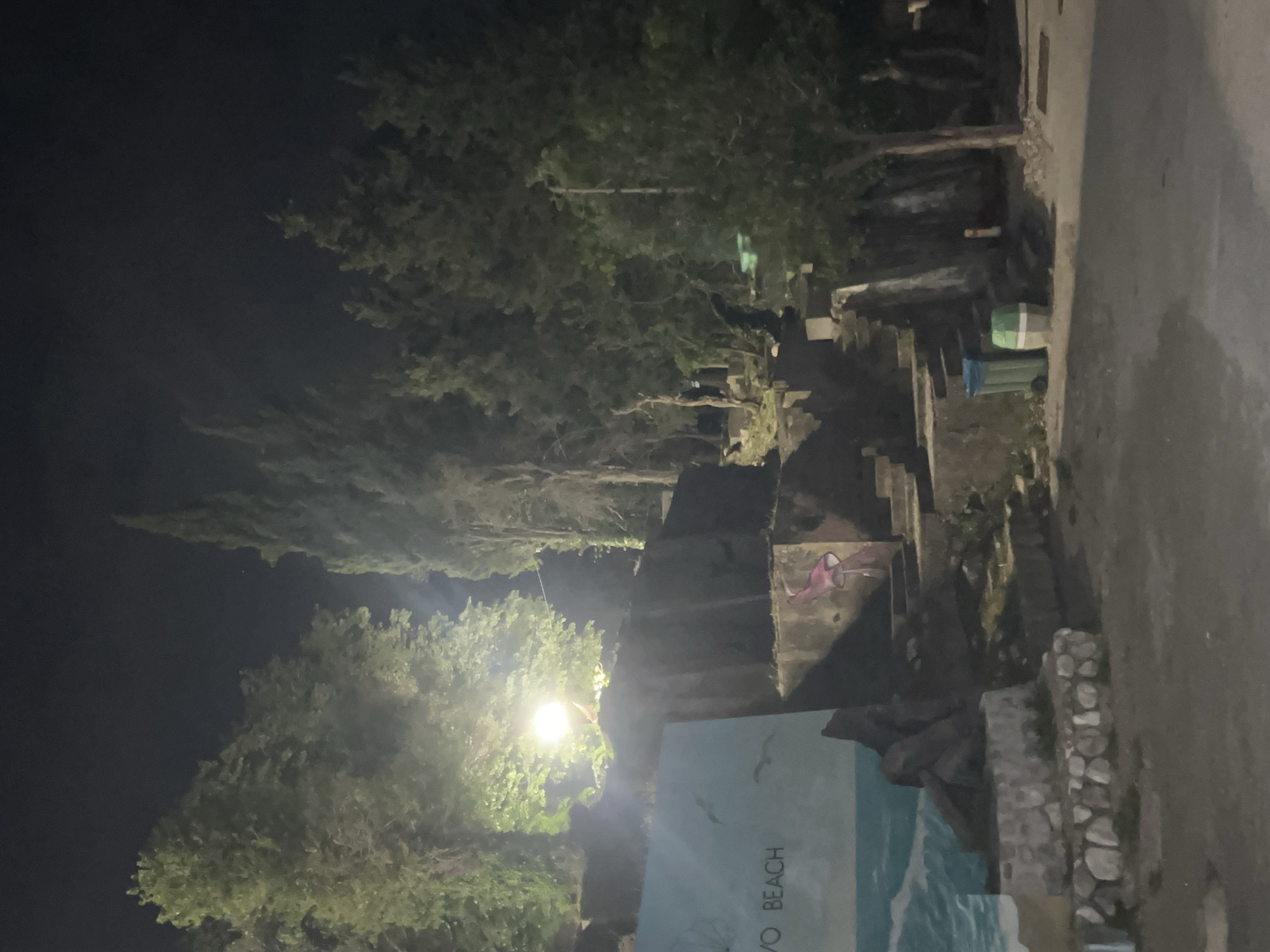 This is a nighttime photograph of an outdoor scene, likely located in Boreti, Montenegro. The sky is dark and clear, indicating late evening or night. The image is dominated by lush green trees, appearing dark against the night sky, with some foliage brightly illuminated by artificial light sources.
In the lower left quadrant, a powerful, bright white light source, likely a street lamp, intensely illuminates the canopy of a large tree, creating strong highlights and shadows. Adjacent to this light, in the lower right, a large, light blue sign or billboard is visible, with the white text "OVO BEACH" clearly readable. Above the text, there are graphic elements resembling flying birds.
Various rustic stone and concrete structures, including walls and what appear to be steps or remnants of buildings, ascend diagonally from the center towards the upper right. A green and a blue trash bin are situated near these structures in the upper right section of the image. Further right, a dark, paved surface, possibly a road or pathway, runs vertically. A rough stone wall or edging can be seen in the lower right, bordering the paved area. On one of the concrete walls, a pink or red graffiti-like marking is visible. No people are present in the scene. The overall impression is a quiet, dimly lit, and somewhat rugged area, typical of a coastal or resort setting at night.