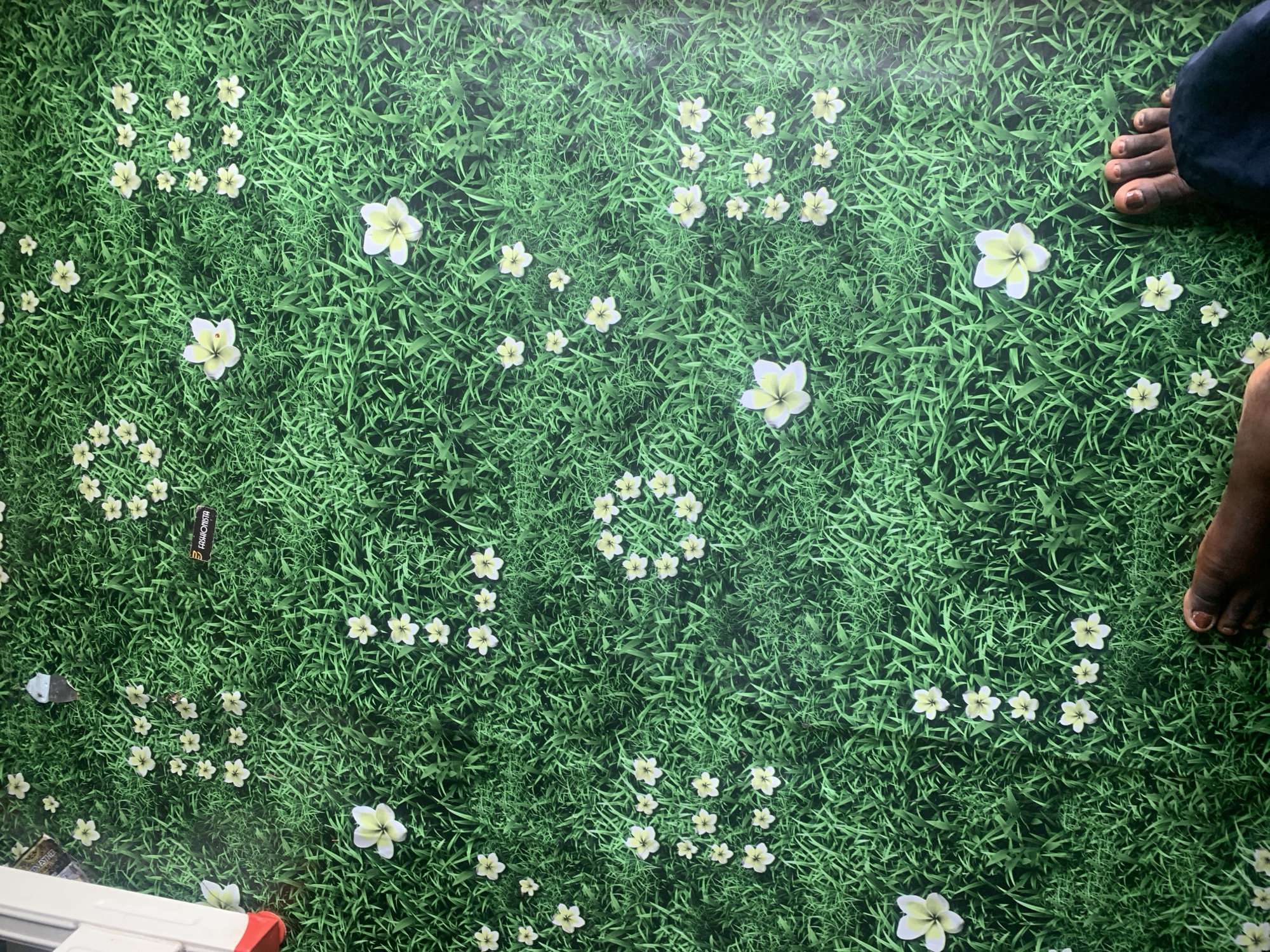 The image depicts a ground-level view of a green grassy surface adorned with numerous white and yellow flowers. A person's feet are visible in the lower right corner, suggesting they are standing on this surface. In the upper left corner, part of a white and red object, possibly a piece of furniture or a vehicle, is visible. A small black tag with white lettering, reading "FASHIONISTA," is also present among the grass and flowers. The overall scene conveys a sense of nature and outdoor aesthetics. The specific location in Jauro Yinu, Nigeria, cannot be determined from the visual information provided in the image.