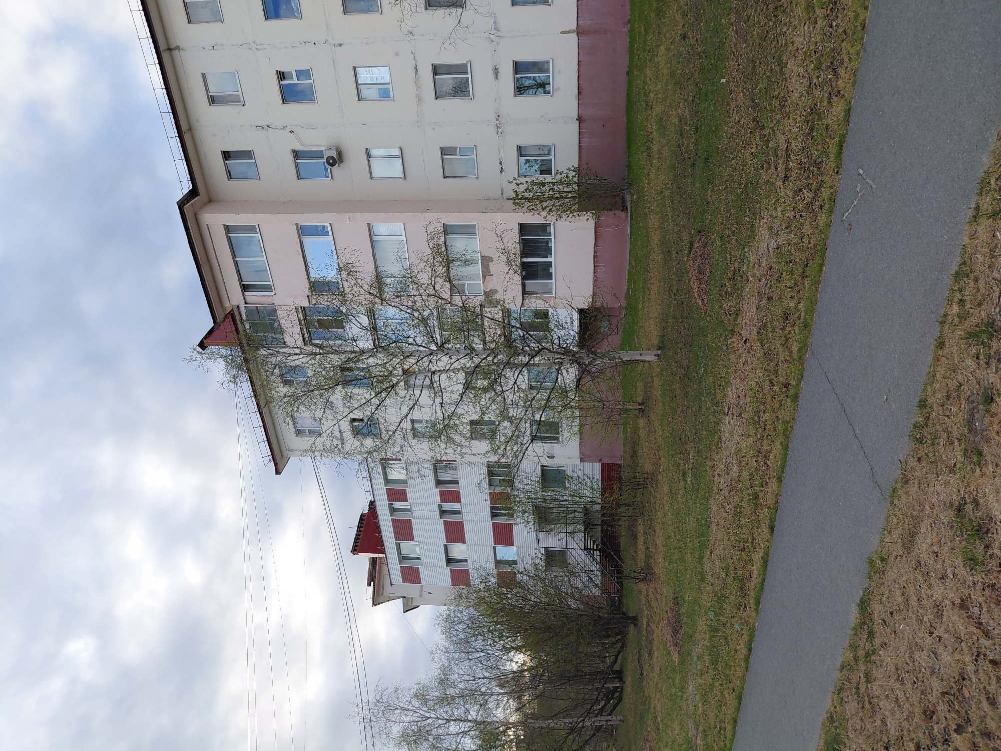 The image shows a view of a residential area in Nadym, Russia. An apartment building with multiple floors dominates the scene. The building's facade features a mix of white, pink, and red panels, with rows of windows visible on each floor. A slender tree with sparse foliage stands in front of the building. A paved pathway runs along the edge of a grassy area, which has a mix of green and brown vegetation. The sky is overcast with gray clouds. Power lines are visible extending from the building.