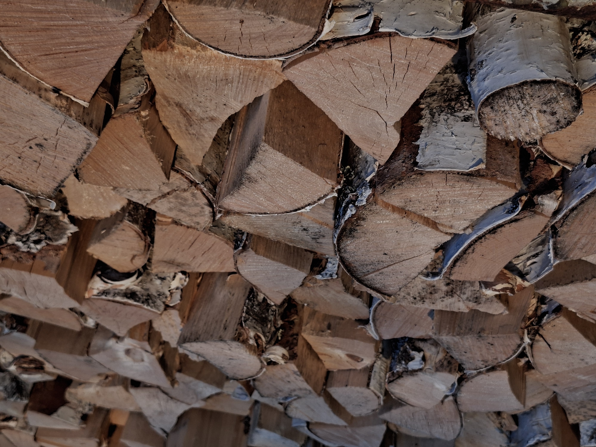 The image shows a close-up of stacked firewood, likely birch, featuring split pieces and whole logs. The wood appears to be seasoned, showing cracks and variations in color. The bark is visible on some pieces. The location of the firewood is unknown, there is no information about this image being taken in Karsha, Russia. There are no people or interactions visible in the image. The environment is undefined beyond the immediate presence of the firewood.