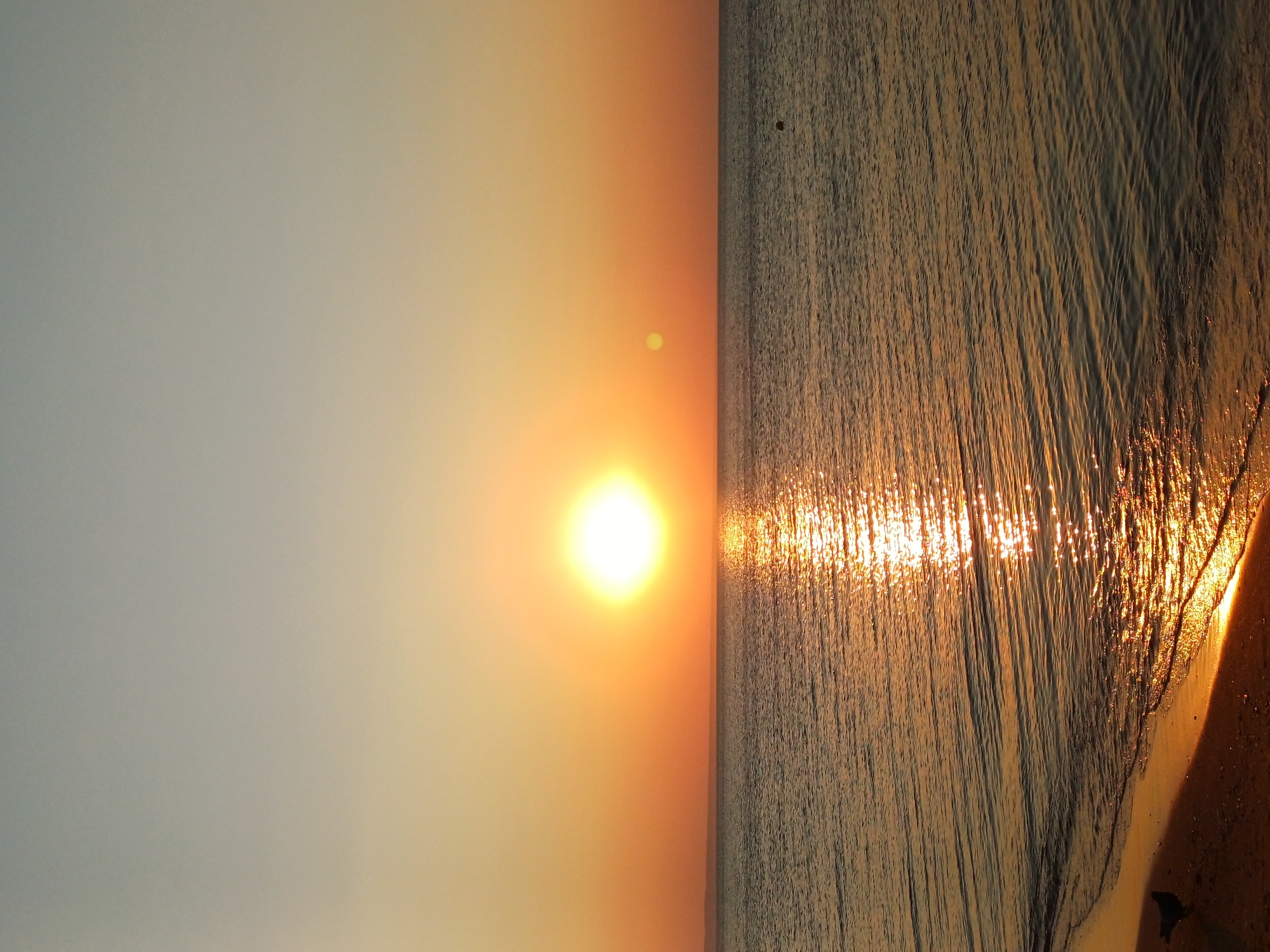 The image captures a serene sunset over the Black Sea, likely taken from the Varna coast in Bulgaria. The sun, a bright, glowing orb, is positioned slightly left of the frame's center, casting a brilliant orange and yellow reflection across the water's surface. The sea itself is calm, with gentle ripples reflecting the warm hues of the sunset. A faint landmass is visible on the horizon, silhouetted against the colorful sky. The shoreline, made of sand, is present in the lower left corner of the image, with a small bird standing on it. The sky transitions from a pale blue at the top to a gradient of orange and yellow towards the horizon, a classic depiction of a sunset. The overall atmosphere is peaceful and tranquil.