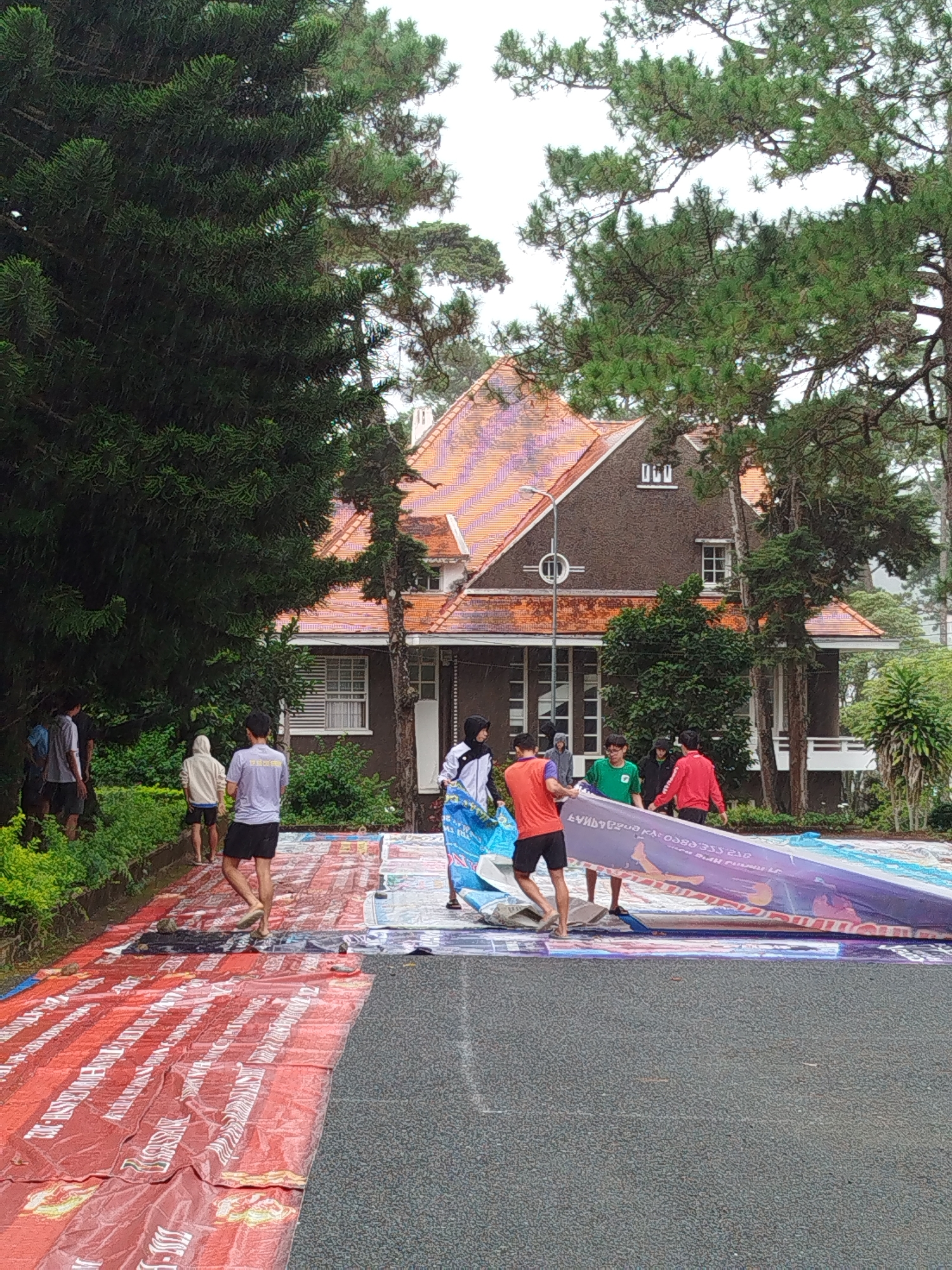 The image depicts a group of young people in Da Lat, Vietnam, in front of a two-story house with an orange tiled roof. The house appears to be old, with dark brown walls and white-framed windows. Several large trees with dark green foliage surround the house and extend into the frame. In the foreground, a large, colorful banner is being unrolled or carried by several individuals. The banner is predominantly red with white text and designs. The ground in the foreground is a mix of asphalt and the red banner, with some rocks scattered on the banner. The people are casually dressed in t-shirts, shorts, and hoodies. The atmosphere appears to be overcast, suggesting a potential for rain or a cloudy day. The scene seems to be set in an outdoor area, possibly a park or the grounds of the house.