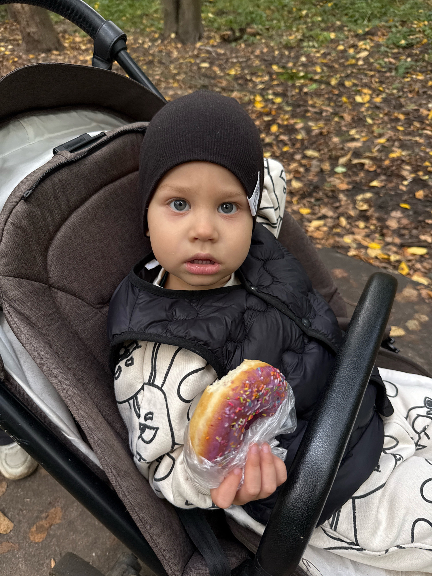In Rusanovo, Russia, a young child sits in a stroller, holding a donut. The child is wearing a black beanie, a black puffer vest over a cream-colored hoodie with a black cartoon-like print. The child's eyes are open, and their mouth is slightly ajar. The donut, partially unwrapped, has purple frosting and colorful sprinkles. The stroller is brown and grey, with a black handle. The background consists of fallen autumn leaves on the ground and trees, suggesting an outdoor setting in a park or wooded area.