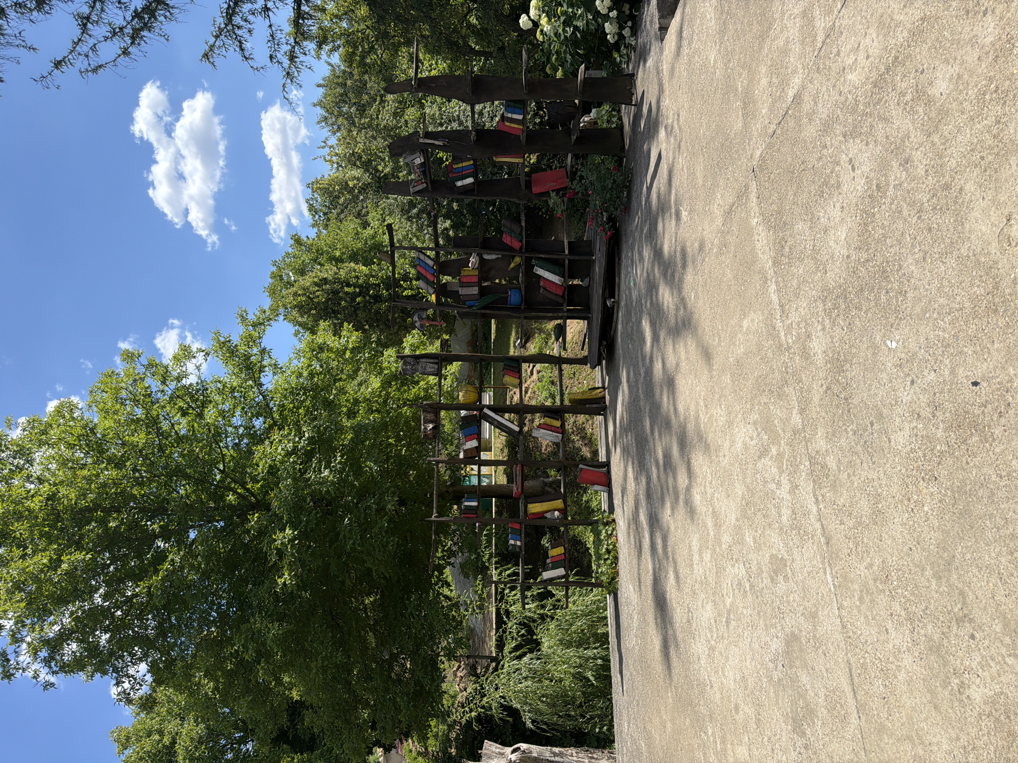 In Sheremetia, Bulgaria, an outdoor scene features a concrete patio in the foreground with shadows from overhead foliage. Behind the patio, a rustic, open-air bookshelf structure displays numerous colorful books. The bookshelf is constructed from natural wood elements, with books of various colors, including red, yellow, blue, and white, arranged on its shelves. Lush green trees and foliage form the backdrop, with a bright blue sky and scattered white clouds above.