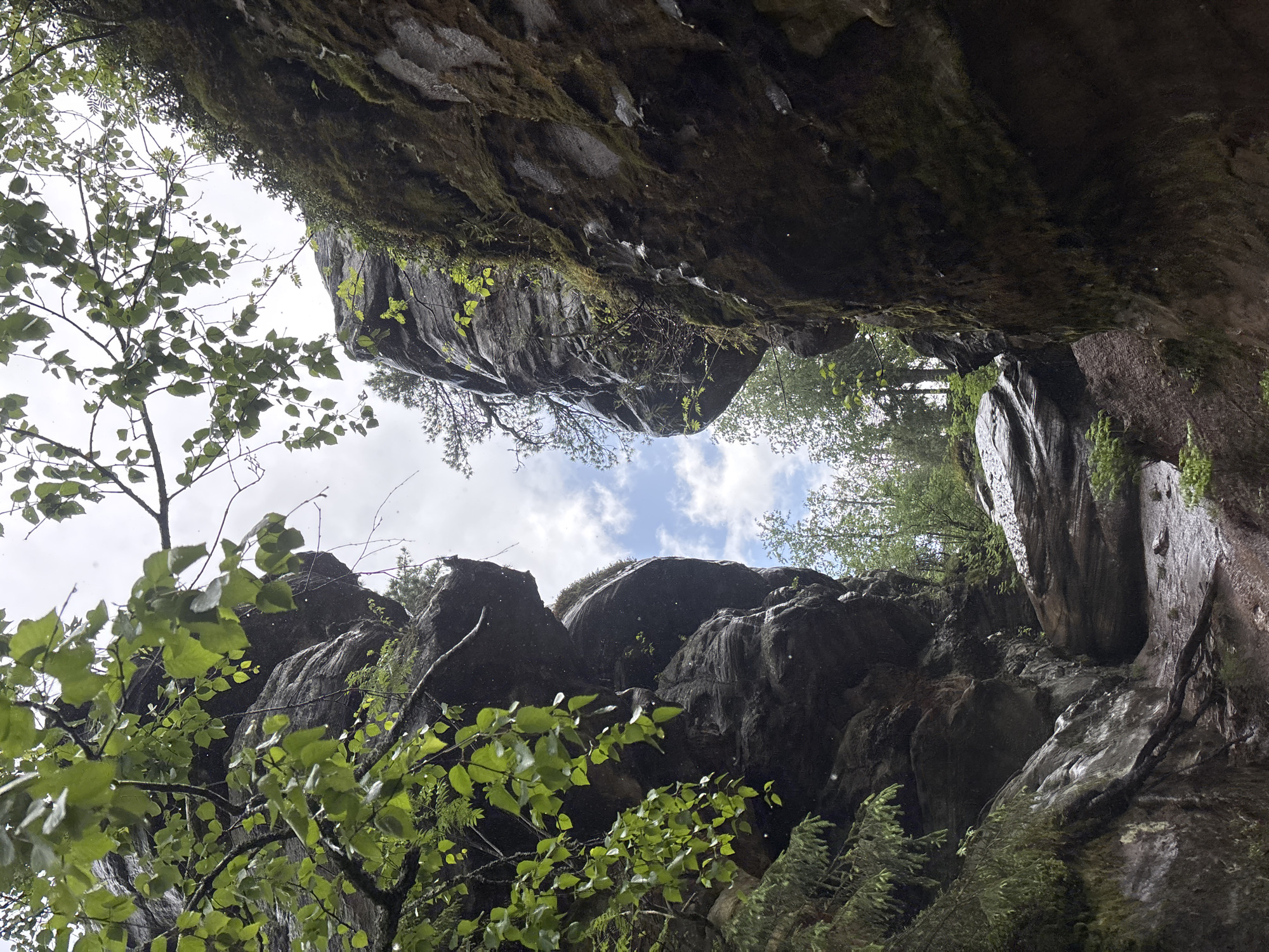The image shows a narrow passage between two large, dark, moss-covered rock formations. Lush green foliage, with leaves appearing wet, hangs from branches that overhang the scene from the left. The sky above is cloudy with patches of blue and white clouds visible. The ground in the passage is a mixture of dirt and rocks, appearing damp. There are no people or animals visible in the image. The overall impression is a natural, somewhat secluded, forest environment.