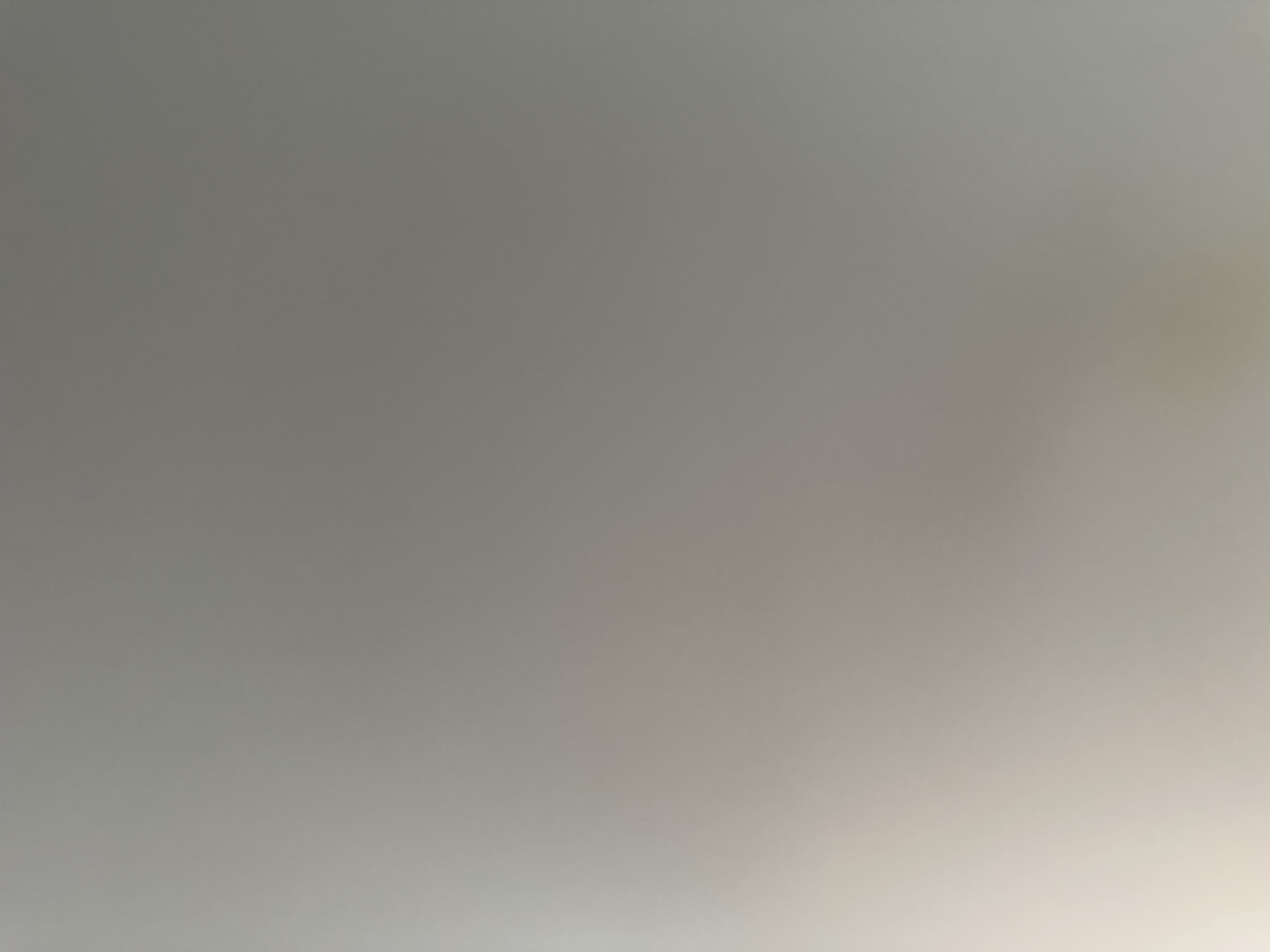 This media file is a photograph with a muted, grayscale color palette. The image is dominated by a smooth, gradient background that transitions from a darker gray on the left to a lighter, almost white hue on the right. There are no discernible subjects, objects, or scene elements within the frame. The lighting appears soft and diffused, suggesting an indoor setting or an overcast day. There is a subtle, indistinct discoloration on the far right side of the image, appearing as a warm, yellowish-brown smudge, but it does not form a recognizable shape or object. No text is visible in the image. The overall impression is abstract and lacks any specific narrative or contextual information.