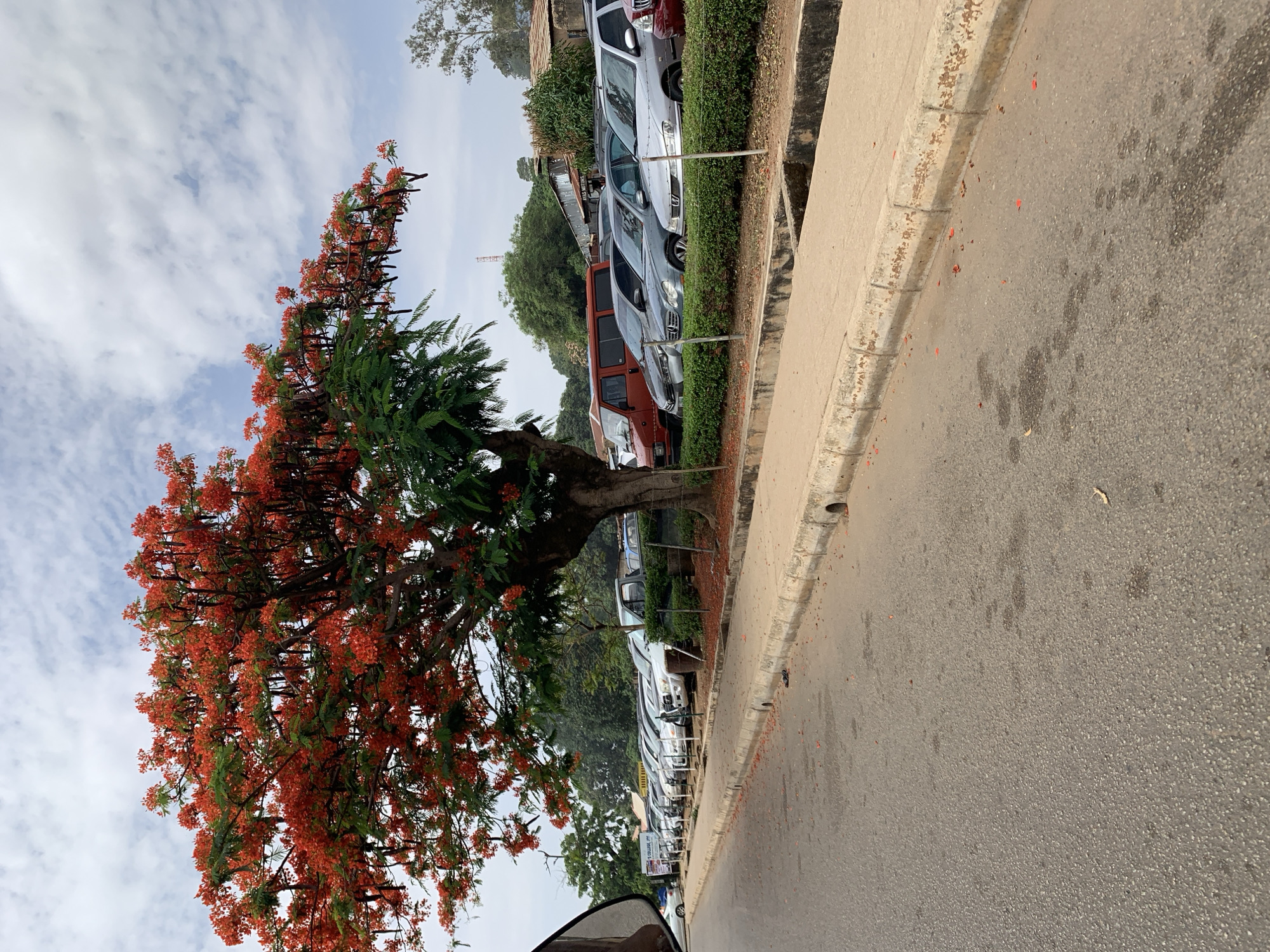 The image shows a street scene near New Stadium, Nigeria. A large tree with vibrant orange-red flowers dominates the left side of the frame. Behind the tree, several cars are parked along the curb. The road occupies the right side of the image, with a concrete curb separating it from the parking area. The sky is visible in the background, with scattered clouds. The overall environment appears to be an urban setting on a cloudy day.