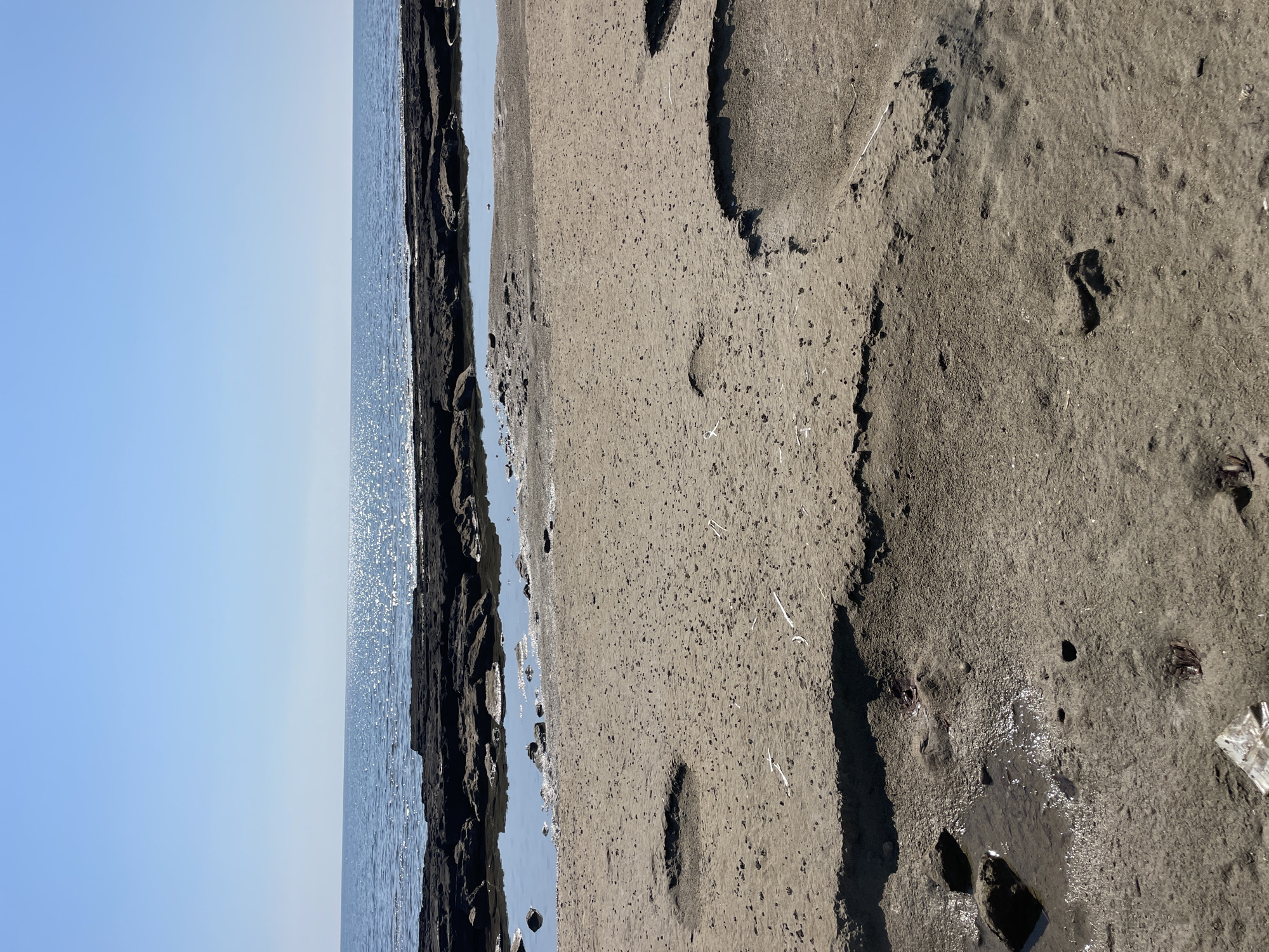 The image shows a beach scene in Spathariko, Northern Cyprus. The foreground is a sandy beach with several tide pools and some debris. In the mid-ground, there are dark, rocky formations extending into the water. The background features the blue sea meeting a clear blue sky, with the sun reflecting off the water's surface. There are no people or animals visible in the image.