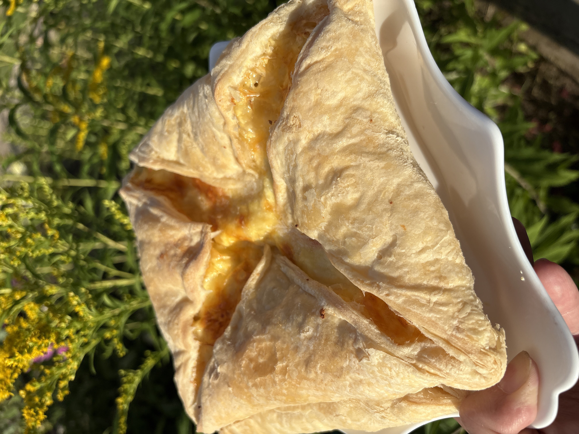 A golden-brown, square-shaped pastry with visible layers of dough is held in a person's hand on a white, wavy plate. The pastry has a cheesy filling that is bubbling and slightly browned in the center. The background consists of out-of-focus green foliage with small yellow flowers, suggesting an outdoor setting, possibly a park or garden in Vetrjuzhsky, Russia. The lighting indicates it is daytime, with sunlight highlighting the texture of the pastry.