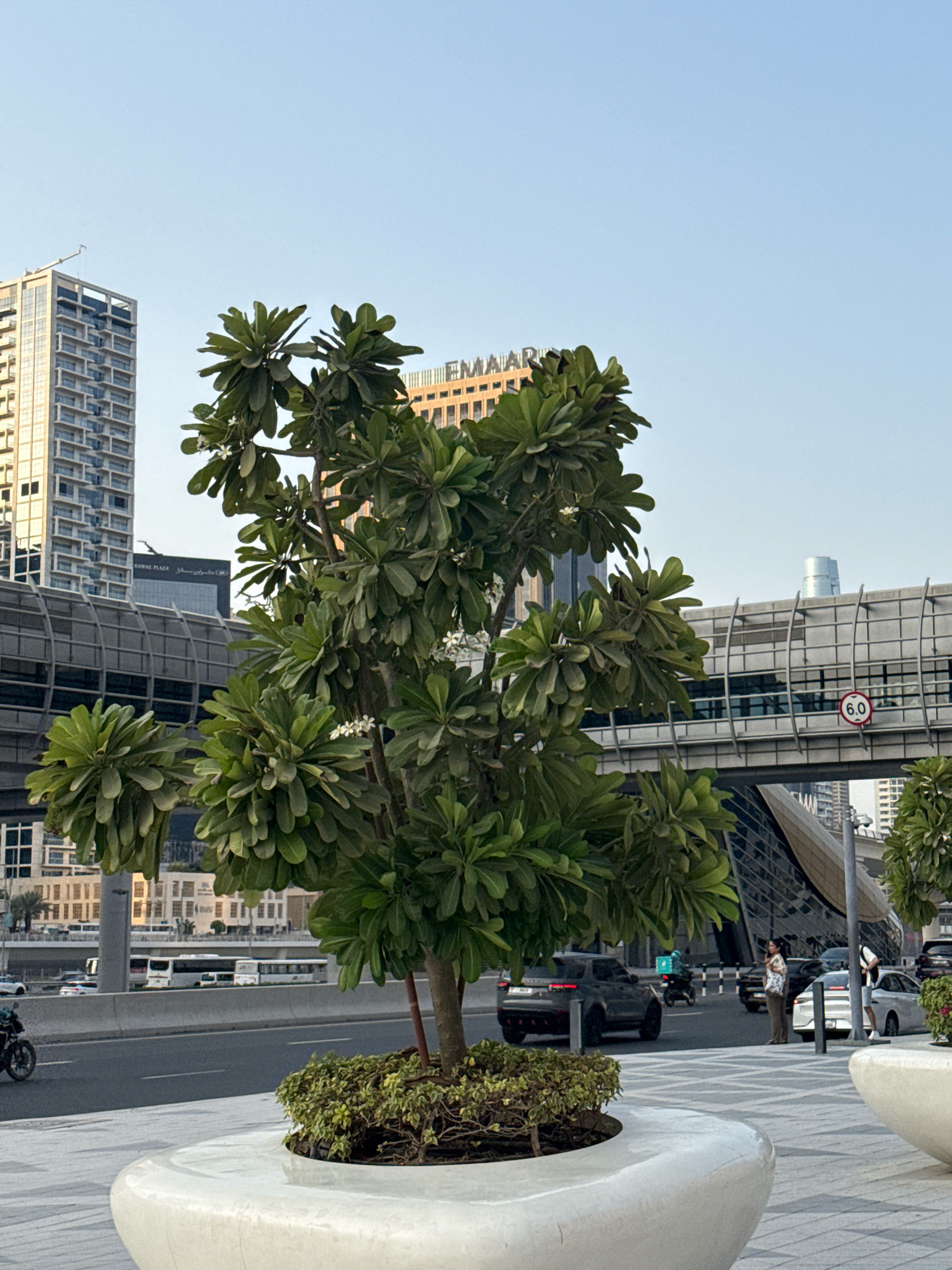 The image captures a street scene in Dubai, United Arab Emirates, with a focus on a potted tree in the foreground. Behind the tree, a modern pedestrian walkway with glass paneling is visible, complete with a red circular sign indicating a speed limit of 6.0. Beyond the walkway, contemporary skyscrapers and buildings dominate the skyline, including one with "EMAAR" branding. The street level shows a multi-lane road with various vehicles, including buses, cars, and a motorcycle. Several people are present on the sidewalk and near the street, engaged in activities like walking and standing. The environment suggests a well-developed urban setting with clear sky conditions.