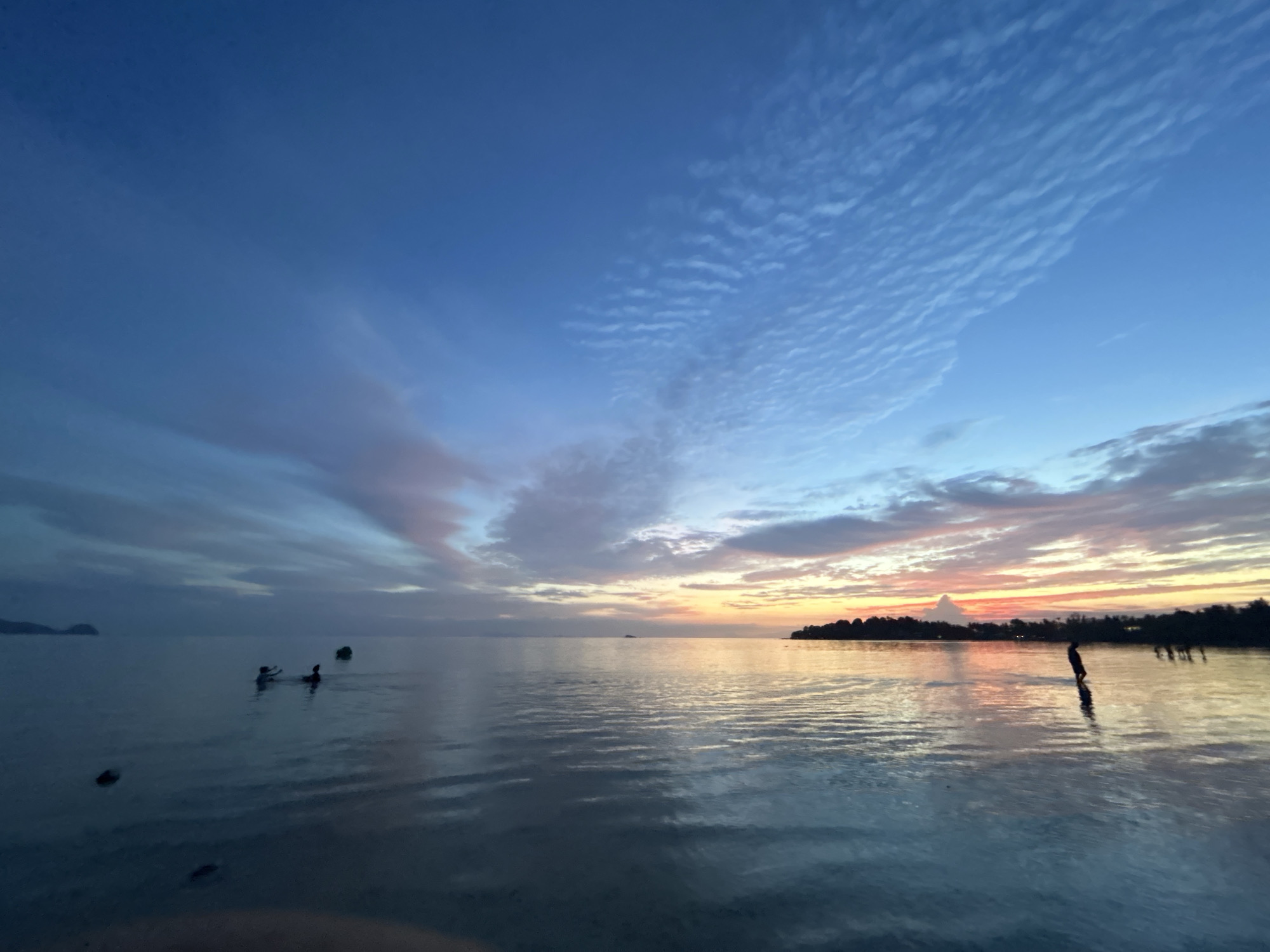 An image depicts a serene seascape at dusk in Ko Pha-ngan District, Thailand. The sky transitions from a deep blue at the top to hues of pink and orange near the horizon, indicating the setting sun. Wispy clouds are scattered across the sky, with some appearing textured and layered. The calm sea reflects the sky's colors and shows gentle ripples. In the foreground and mid-ground, several silhouetted figures are visible in the water. Two figures appear to be swimming or playing, while another stands on what might be a submerged object or is wading in the shallow water. Further in the distance, a treeline of a coastal area is silhouetted against the colorful sky. A single, dark, upright object, possibly a bird or a post, stands isolated in the water to the right of the frame, casting a reflection. The overall atmosphere is peaceful and tranquil.