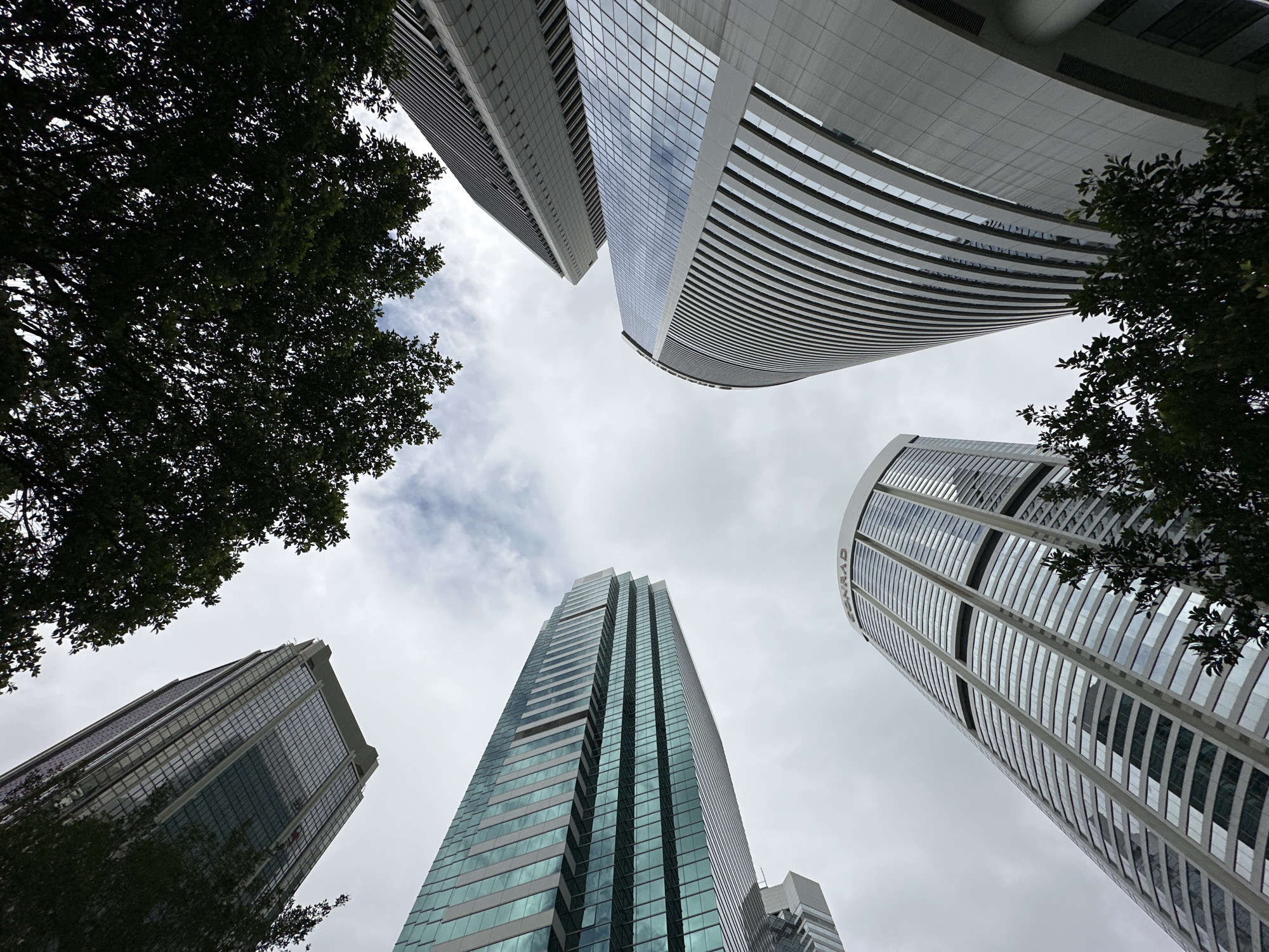 The image shows a low-angle view of several modern skyscrapers in Hong Kong, China, seen from ground level looking upwards. Trees with dark green foliage partially obscure the view of the buildings and the sky. The buildings are characterized by their glass facades and geometric designs, reflecting the overcast sky. One of the buildings in the foreground has "CONRAD" visible in red lettering at its top. The sky is mostly cloudy, with some patches of lighter sky and scattered clouds. There are no people or vehicles visible in the frame. The overall impression is one of urban architecture amidst a backdrop of lush trees.