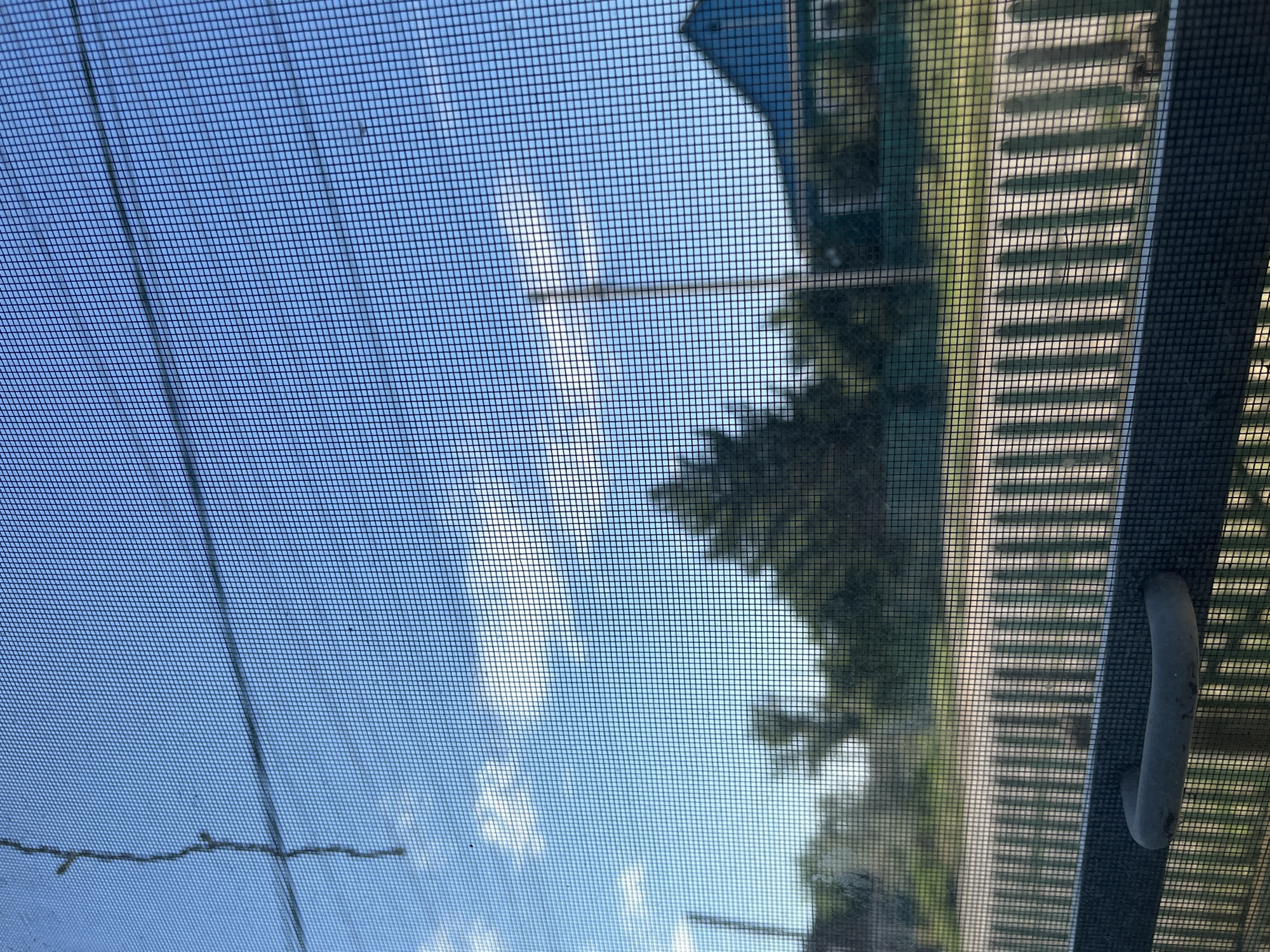 The image depicts a view through a window screen, showing a bright, blue sky with scattered white clouds. In the distance, a dense green tree stands prominently, with hints of other foliage and structures. A portion of a blue-roofed building is visible to the right. In the foreground, a white picket fence runs horizontally across the scene, with a dark grey window handle visible at the bottom left. The screen itself has a visible mesh pattern, and there are some smudges or debris on it. The scene suggests an outdoor environment, possibly a residential area, given the presence of a fence and a building. The overall impression is one of a clear day.