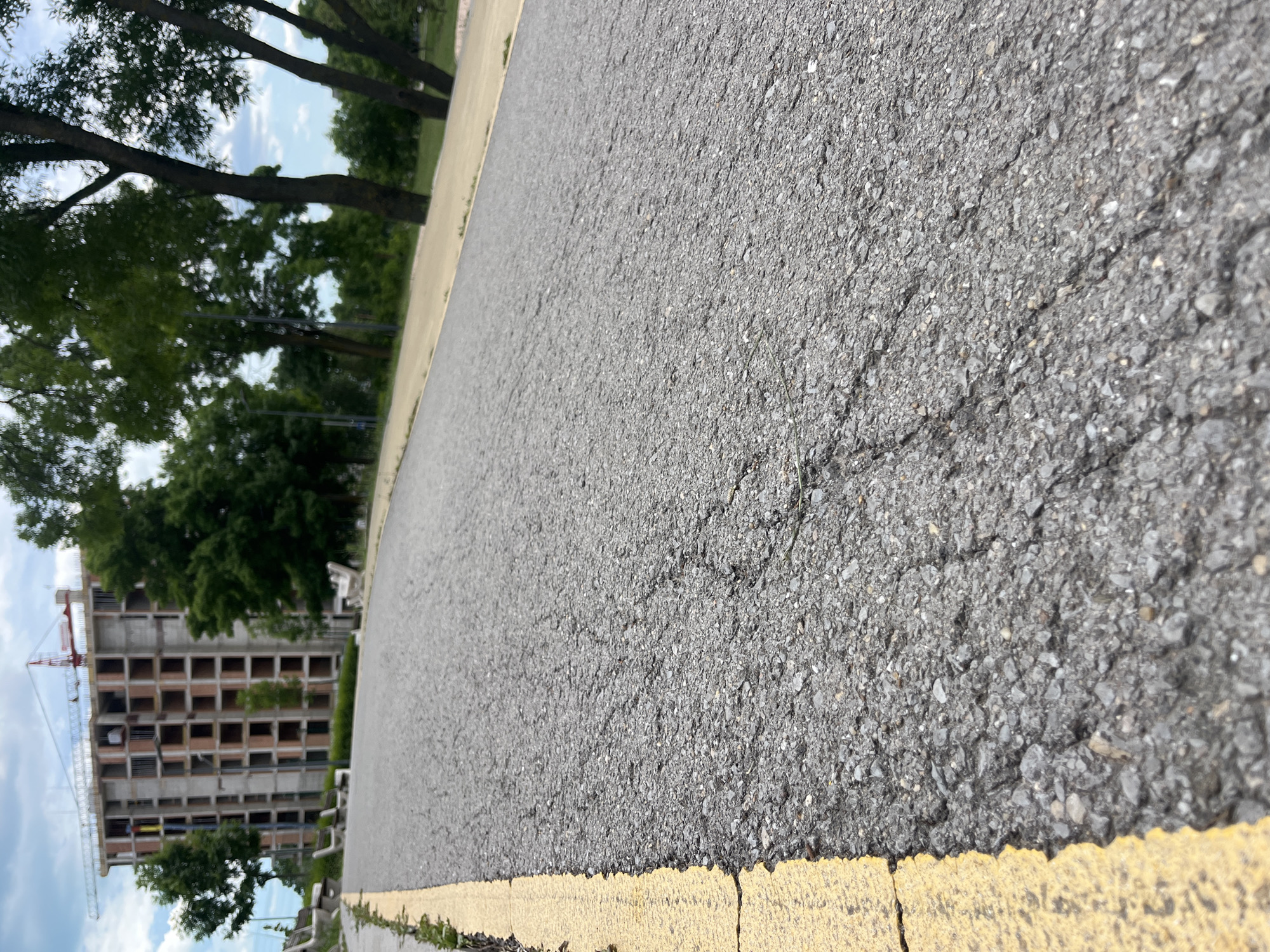 The image shows an asphalt road with a yellow line marking its edge. The road surface is textured and appears slightly cracked. Beyond the road and line, there's a sidewalk adjacent to trees and greenery. Further in the background, a partially constructed building with a red crane is visible. The location is possibly in Varna, Bulgaria.