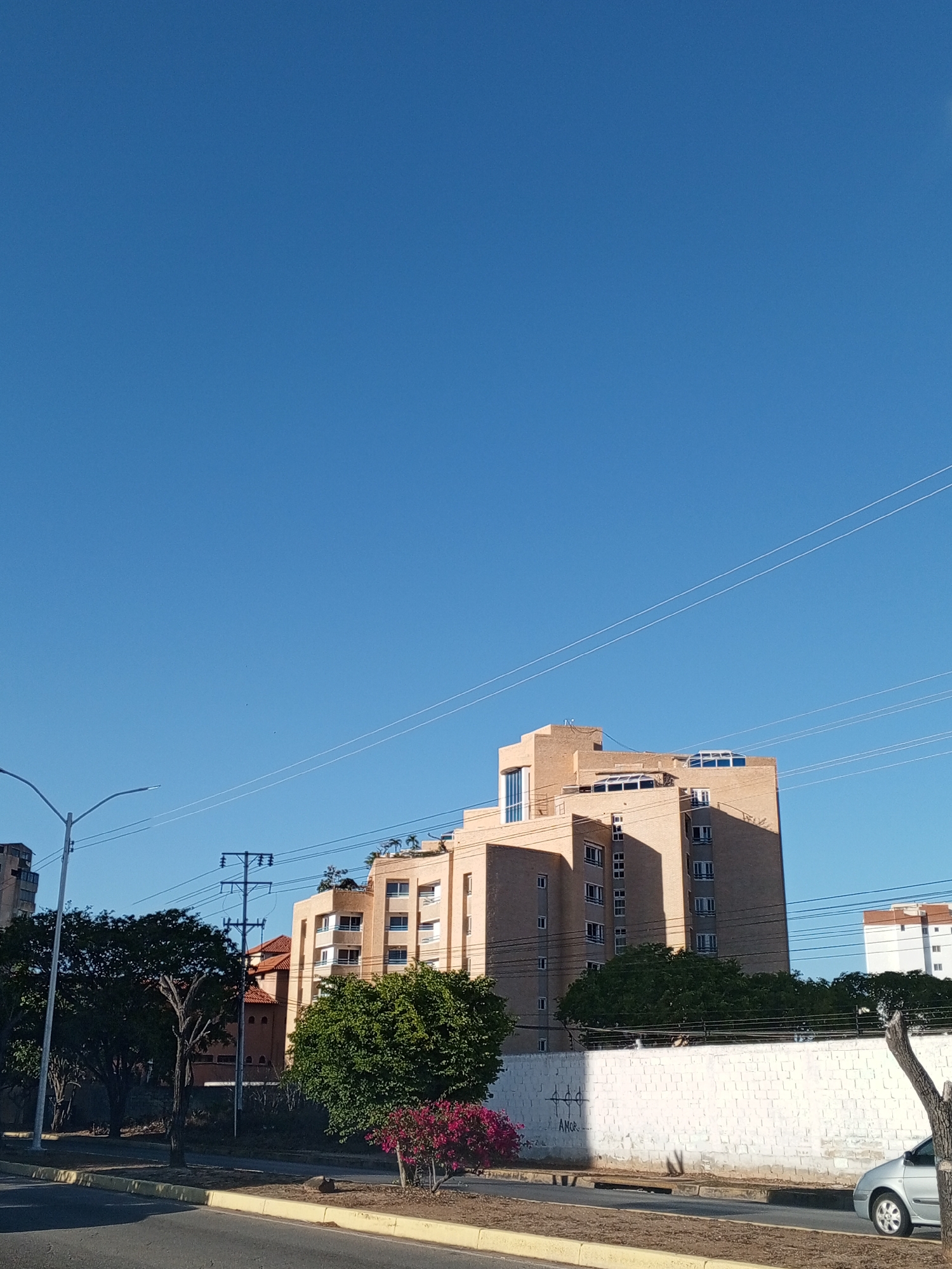 The image presents a bright, sunny daytime scene of a street in what appears to be an urban or suburban area. A vast, cloudless blue sky occupies the upper two-thirds of the frame, traversed by multiple thin power lines.
The main subject is a large, multi-story building in the middle ground, likely an apartment or commercial complex. It features a light brown or tan facade, possibly brick or stucco, with various windows and distinctive curved or arched skylights on its upper levels and roof terraces that show some greenery. Some windows appear dark and reflective. To the far right, a white building with a brownish-orange roof structure is partially visible in the distance. Another reddish-brown building with an architectural roof is partially obscured by trees in the mid-left.
In the foreground, a paved road with yellow curbs runs horizontally. A long, white wall separates the road from the vegetation and buildings behind it. This wall is partially illuminated by sunlight and partly in shadow. On the sunlit portion of the wall, there is some graffiti, appearing to read "ANOR" or "AMOR" with stylized letters, accompanied by abstract markings.
Lush green trees and bushes are scattered throughout the scene. A large, dense tree stands to the left, partially hiding a modern street light. A bush with vibrant pink or purple flowers adds a splash of color near the center. Electrical poles and overhead wires are visible, particularly in the mid-left. A silver compact car is parked on the right side of the road, partially visible behind a tree trunk.
No people are visible in the image. The bright, clear sunlight and distinct shadows suggest the time of day is mid-morning or early afternoon. The weather is clear and sunny.