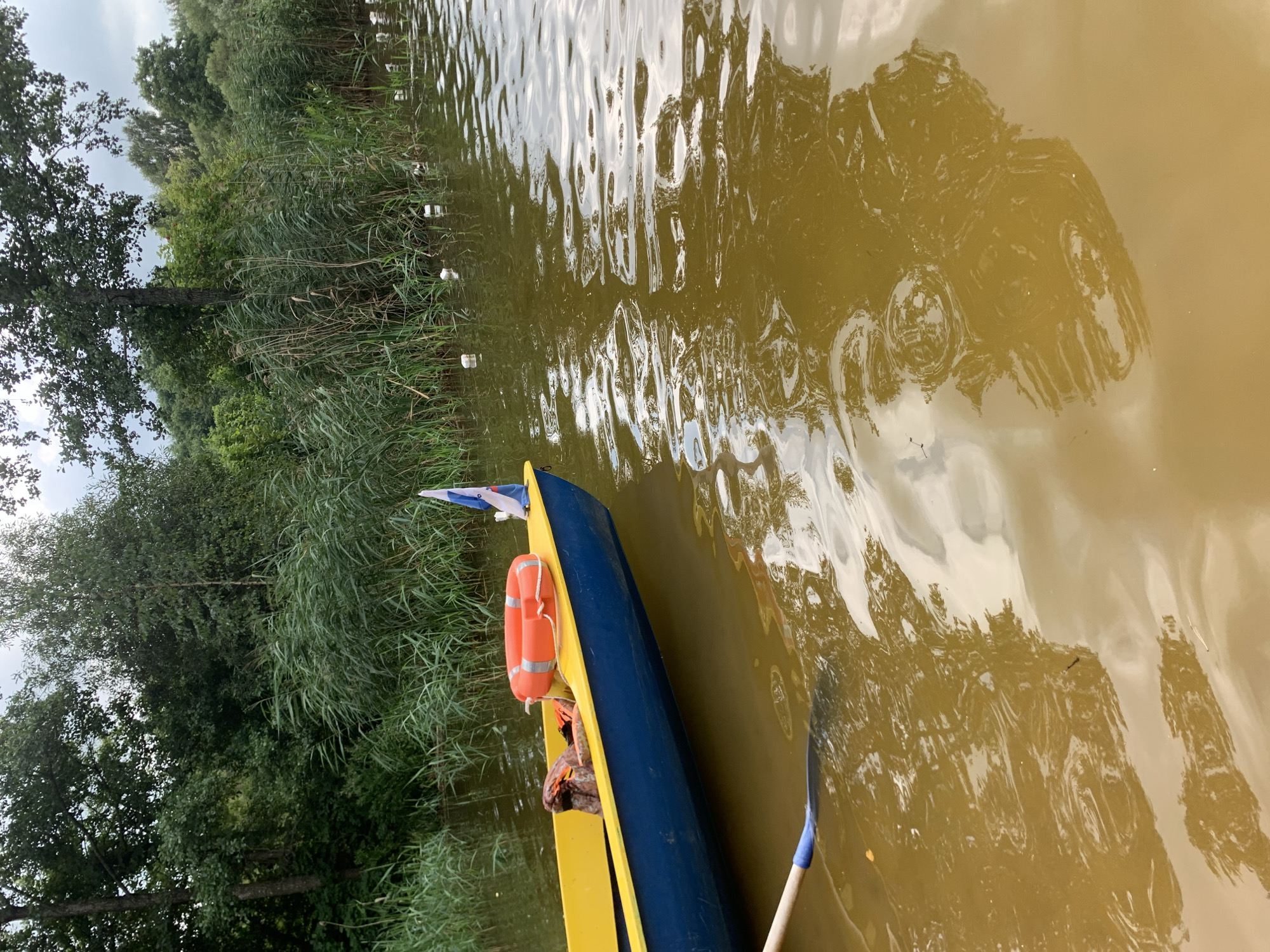 The image depicts a yellow and blue boat on muddy, calm water, near a bank of tall reeds and trees. The boat contains an orange life preserver and a flag. A paddle is partially submerged in the water to the left of the boat. In the distance, several white objects are visible floating on the water near the reeds. The environment appears to be a natural setting, likely a lake or river, with lush green foliage and overcast skies. The location is identified as Грозаўскі сельскі Савет, Belarus. There are no people visible in the image.