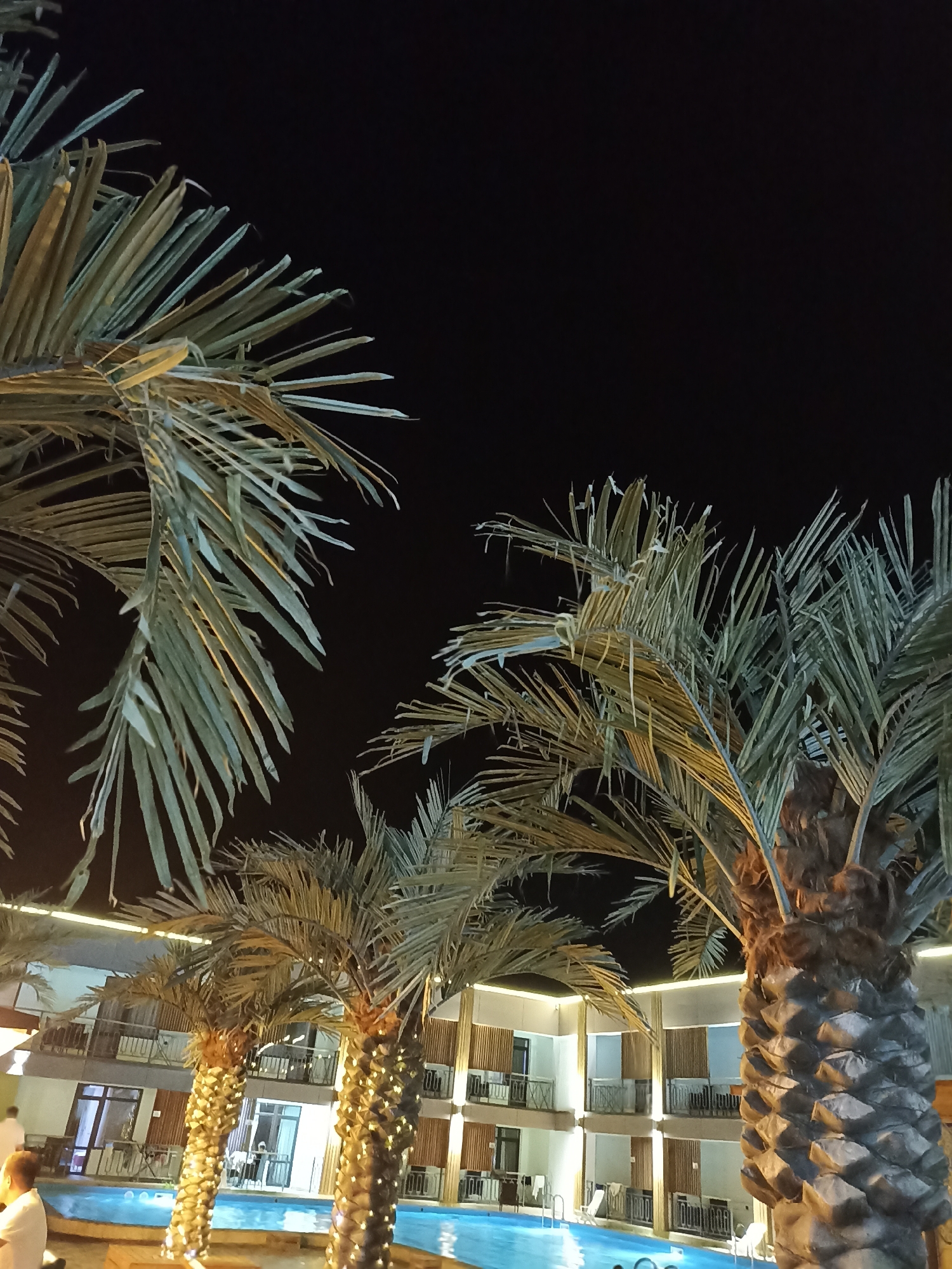 The image depicts a nighttime view of a resort or hotel complex, possibly in Sorbulak, Kazakhstan. In the foreground, several palm trees with fronds illuminated by artificial lighting are prominent. The trees are decorated with strings of small lights. Behind the trees, a building with multiple stories is visible. The building features balconies with railings and numerous windows, many of which are lit from within. A swimming pool with blue water is situated in front of the building. The overall atmosphere suggests a tropical or vacation setting, despite the indication of a specific location.