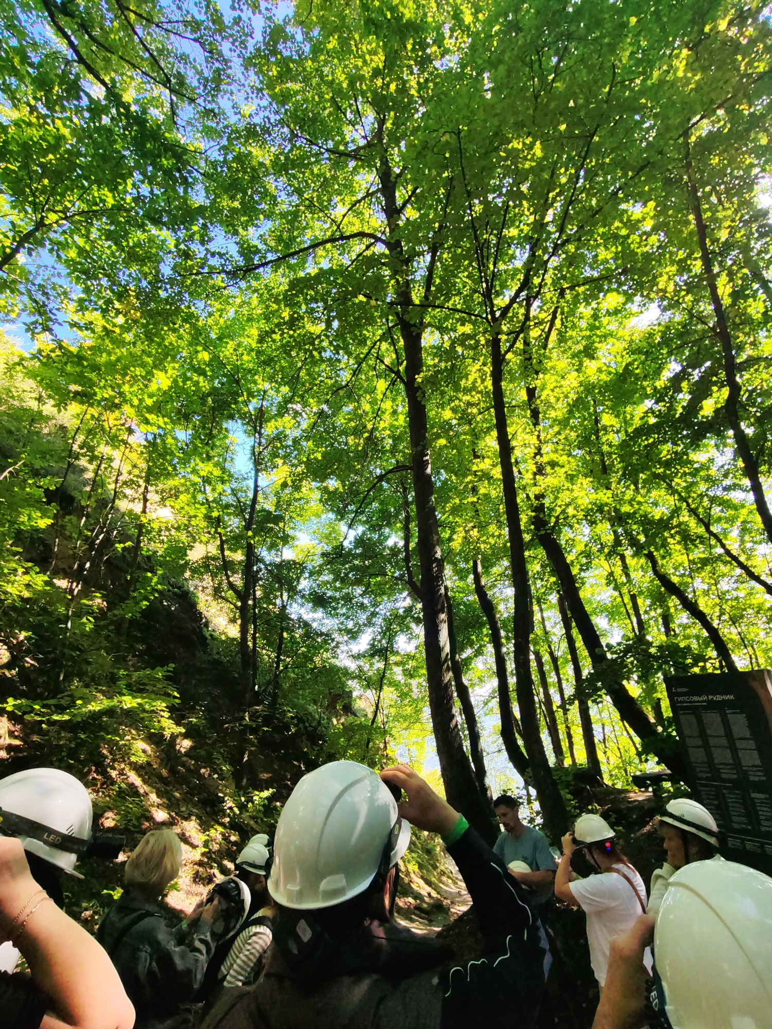 In the city of Tenishevo, Russia, a group of people are gathered in a forest, wearing hard hats, suggesting they are about to enter or have just exited a cave or mine. The canopy of lush green trees filters the sunlight, casting dappled shadows on the forest floor. A signpost with Russian text is visible on the right side of the image. The individuals are facing away from the camera, some adjusting their headgear. The scene conveys a sense of adventure and exploration in a natural setting.
