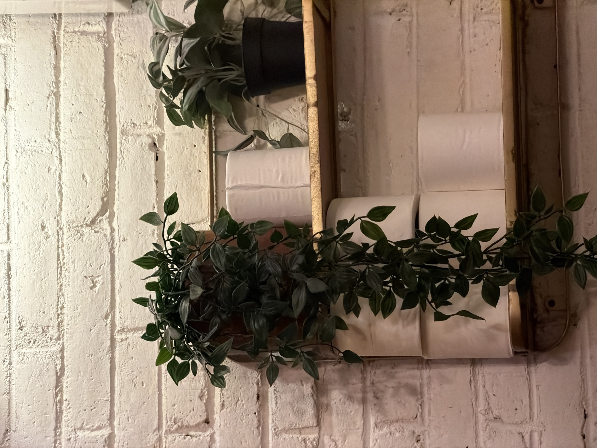 This image shows a close-up view of two shelves against a white brick wall. On the top shelf, there are two potted plants and two rolls of toilet paper. One plant is a trailing vine with dark green leaves in a terracotta pot, partially obscuring the toilet paper rolls. The other plant has lighter green leaves and is in a black pot. The toilet paper rolls are white and appear to be unwrapped.
On the shelf below, there are three more rolls of white toilet paper. A trailing vine plant with dark green leaves hangs down from the top shelf, its leaves reaching towards the lower shelf. The shelves themselves appear to be made of wood with a metallic edge. The background is a textured white brick wall, with visible mortar lines. The lighting suggests an indoor setting, possibly a bathroom or storage area. The image does not provide any information about the location in the city of North Kuta, Indonesia.