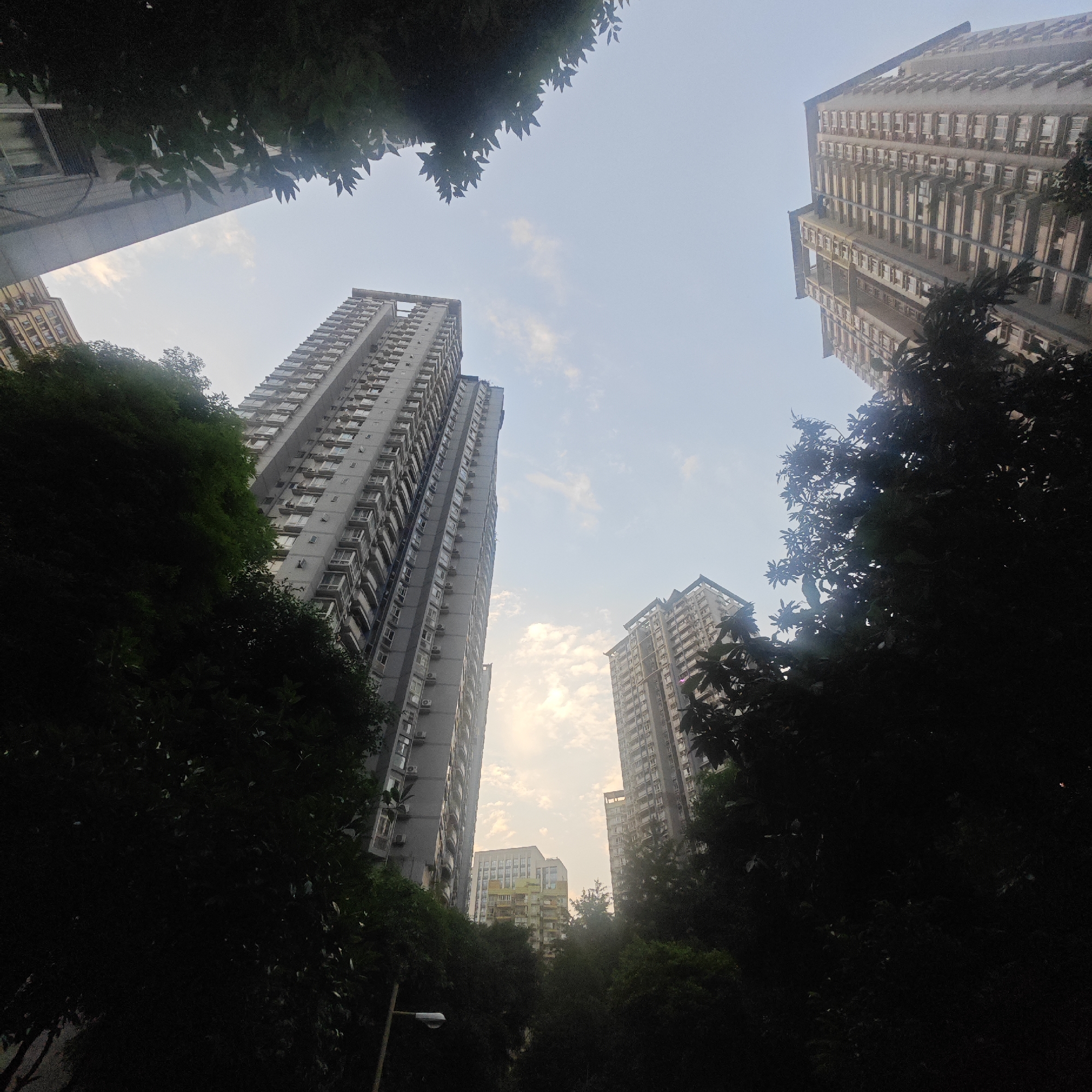 The image depicts a low-angle view of high-rise buildings in the Yuzhong District of Chongqing, China. The sky is visible between the buildings, with sparse clouds. The tall buildings are predominantly gray, and many appear to have balconies or air conditioning units. Trees and foliage surround and partially obscure the base of the buildings. A street light can be seen at the bottom left. No people are visible.