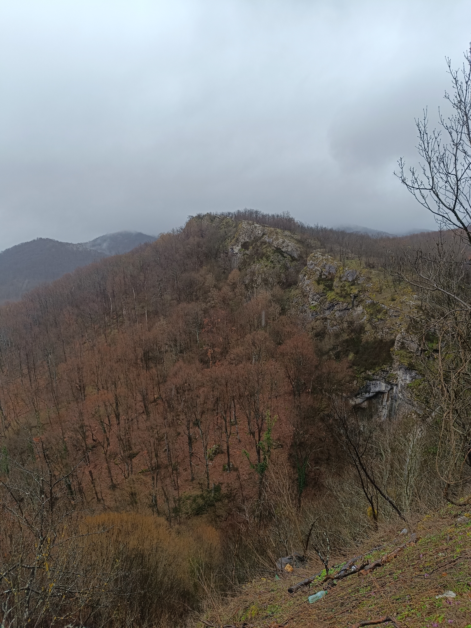 The image depicts a mountainous landscape near Veselinovo, Bulgaria, under a cloudy, overcast sky. The terrain is covered in a dense forest, primarily composed of deciduous trees without leaves, indicating it may be late autumn or winter. The trees are densely packed on the hillside, with reddish-brown bark being the predominant color. Some rocky outcrops are visible, particularly on the right side of the image. In the lower foreground, there is ground cover and some visible litter, including plastic bottles and cut branches. The background shows distant mountain ridges shrouded in mist or low clouds. No people or animals are visible in the scene.
