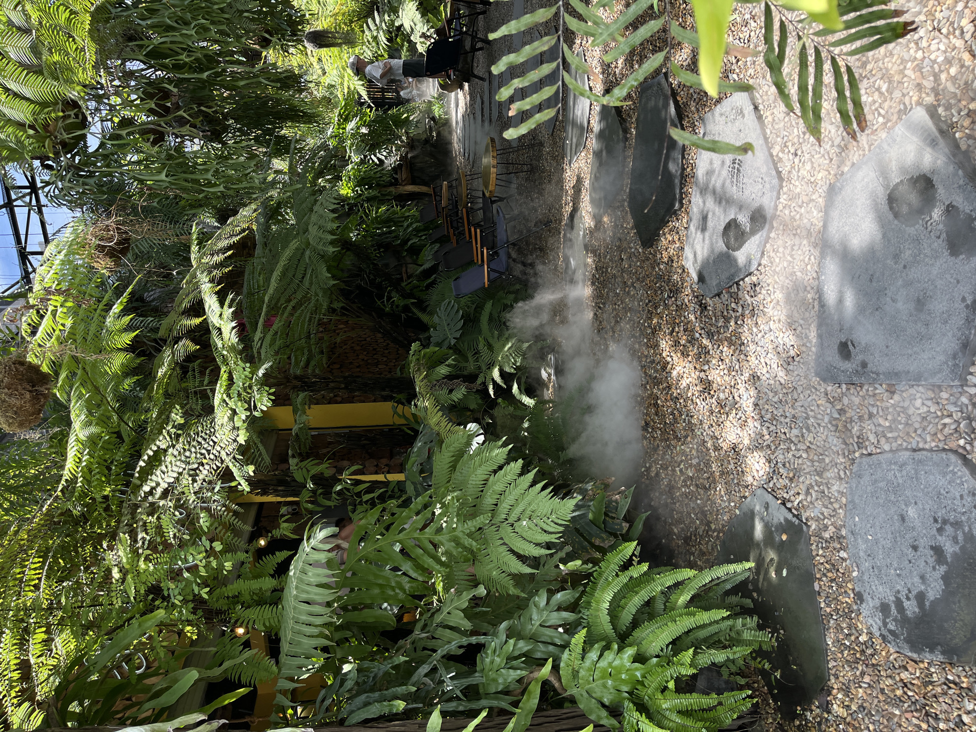The image shows a garden or courtyard scene, possibly at a cafe or outdoor venue, located in Đà Nẵng, Vietnam. The prominent feature is lush, tropical foliage, primarily ferns, creating a dense, green environment. A pathway is formed by dark, irregularly shaped stepping stones set into a bed of small pebbles. Mist or fog is diffused through the area, adding to the atmosphere. In the background, tables and chairs are visible, suggesting a seating area. There are people in the background; their actions or interactions cannot be determined clearly.