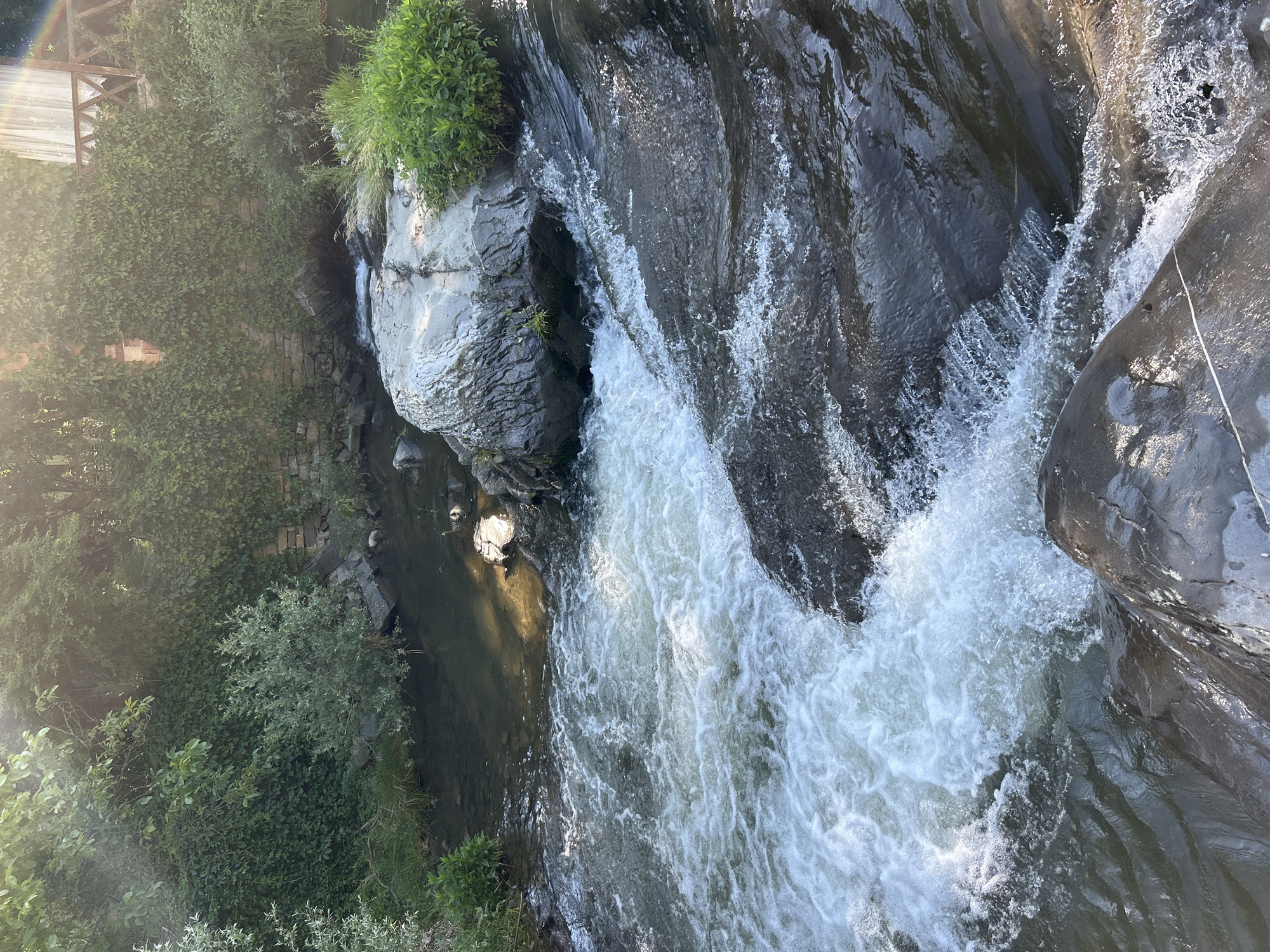 A high-angle, medium shot captures a natural scene of a flowing river with rapids and rocks, surrounded by lush green foliage and trees. Sunlight filters through the trees, creating bright spots and a hazy effect in the upper portion of the image. The water is a mix of clear and foamy white where it cascades over rocks. The riverbanks are covered with dense vegetation, including ivy climbing on a stone wall in the background. A wooden railing and a curtained window are visible above the foliage on the right. The image is devoid of people or any discernible urban elements, suggesting a remote or natural setting.