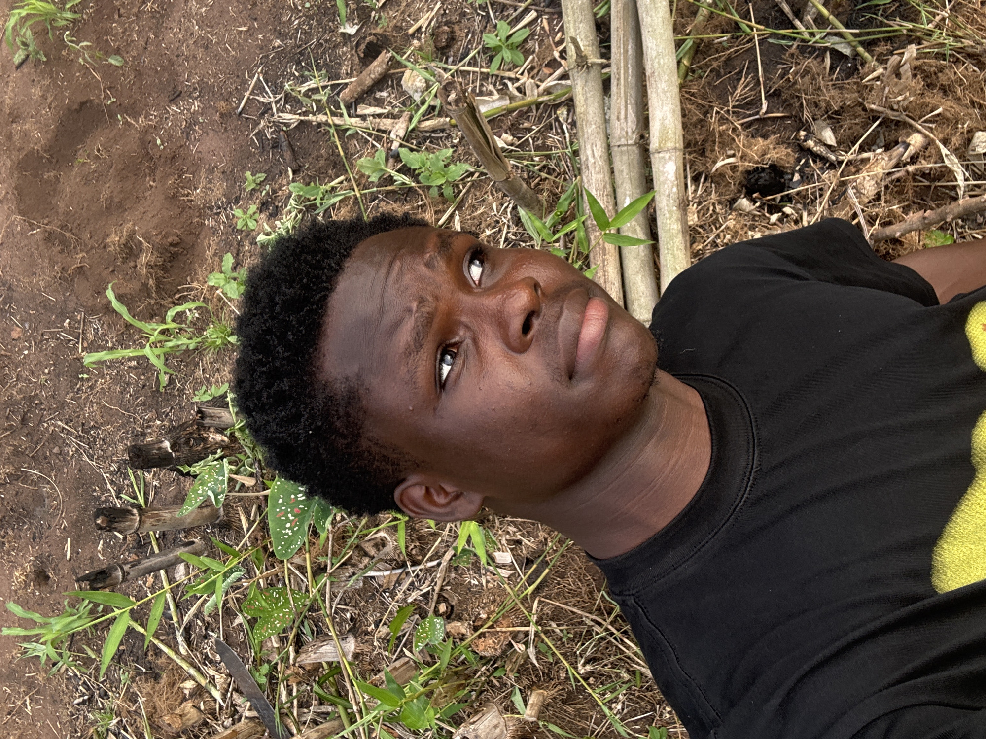A medium shot of a young man with dark skin and short, curly hair, lying on his back in an outdoor setting. The location is likely a rural or semi-rural area based on the presence of soil, grass, bamboo stalks, and other vegetation. The man is wearing a black t-shirt. He is looking upwards and slightly to the right. The ground is covered with dry leaves, twigs, and green plants. The bamboo stalks are positioned towards the upper-right corner of the frame. There is no explicit indication of the city of Aboh, Nigeria in the image. The scene appears natural and unposed.
