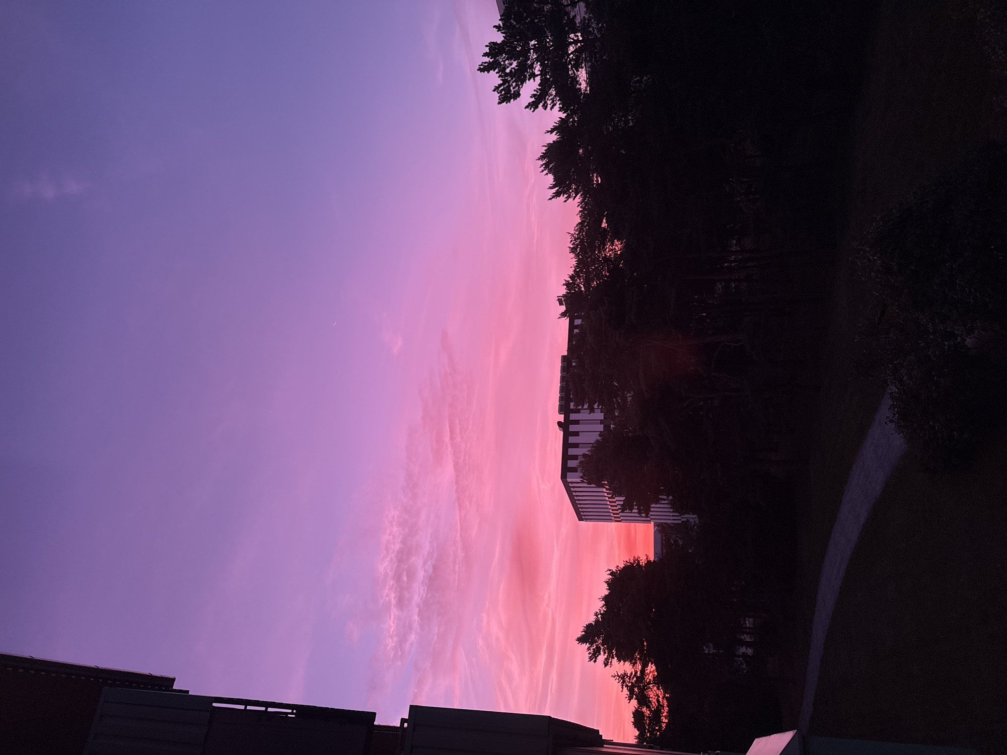 The image shows a wide-angle view of a sunset over an urban landscape. The sky transitions from a deep purple at the top to a vibrant pink and orange near the horizon. Wispy clouds are visible, catching the sunset's colors. In the foreground, the edge of a dark building is visible on the left. Silhouetted trees form a dark band across the middle ground, with a modern, multi-story building with a striped facade peeking through them on the right. A paved pathway curves through a dark, grassy area in the lower part of the image. The overall scene depicts a serene evening in a developed area, characterized by the dramatic colors of the sky.