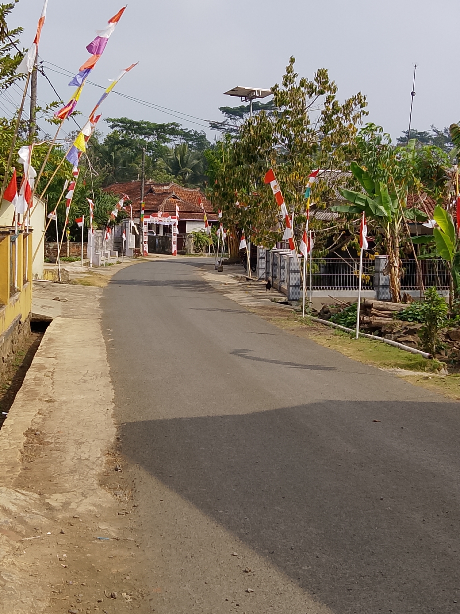 The image shows a street in Cikukulu, Indonesia, decorated with numerous Indonesian flags. The flags are red and white, with some featuring purple and yellow, and are mounted on poles along both sides of the road. The street itself is paved and curves to the right, disappearing into the distance. On the left side of the street, there is a yellow building with white window frames and a narrow concrete drainage ditch running alongside it. On the right side, there are fences, trees, and houses with traditional tiled roofs. In the background, more trees and some power lines are visible, as well as a solar panel on a pole. The sky is overcast.