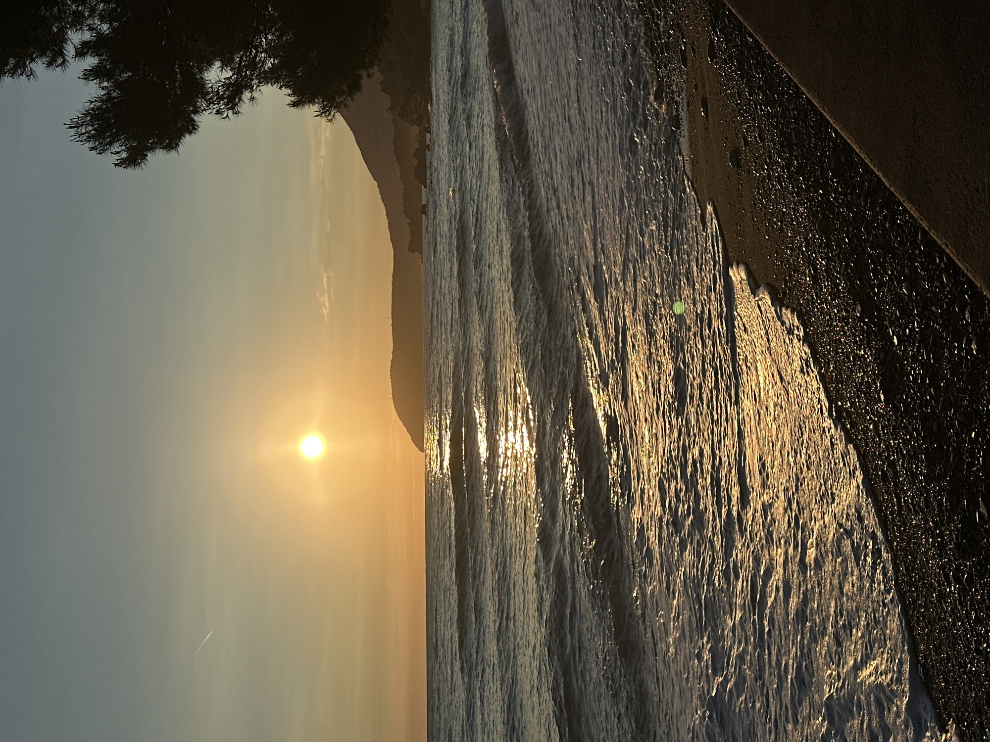 A sunrise over the Adriatic Sea at Šušanj, Montenegro. The sun sits low in the sky, casting a golden reflection on the water's surface. A shoreline with dark sand is visible on the right, with tree branches at the top left corner and a mountain silhouette in the background. A concrete structure is visible adjacent to the sand.