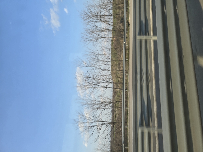 The image displays a daytime roadside scene, identified as being in Cherna Gora, Bulgaria. A clear blue sky occupies the upper portion, featuring a few scattered white cumulus clouds and a faint contrail in the upper right quadrant. Below the sky, a distant treeline composed of leafless deciduous trees extends horizontally across the middle ground. Behind these trees, a gently sloping terrain, possibly a field, shows varying shades of green and brown earth. Directly in front of the treeline, a light gray metal crash barrier runs parallel to the horizon. In the foreground, a multi-lane asphalt road is visible, marked with white and yellow lines. Another, darker gray metal crash barrier is prominent at the bottom of the frame, presenting reflections consistent with a view from a vehicle window. No individuals or animals are present.