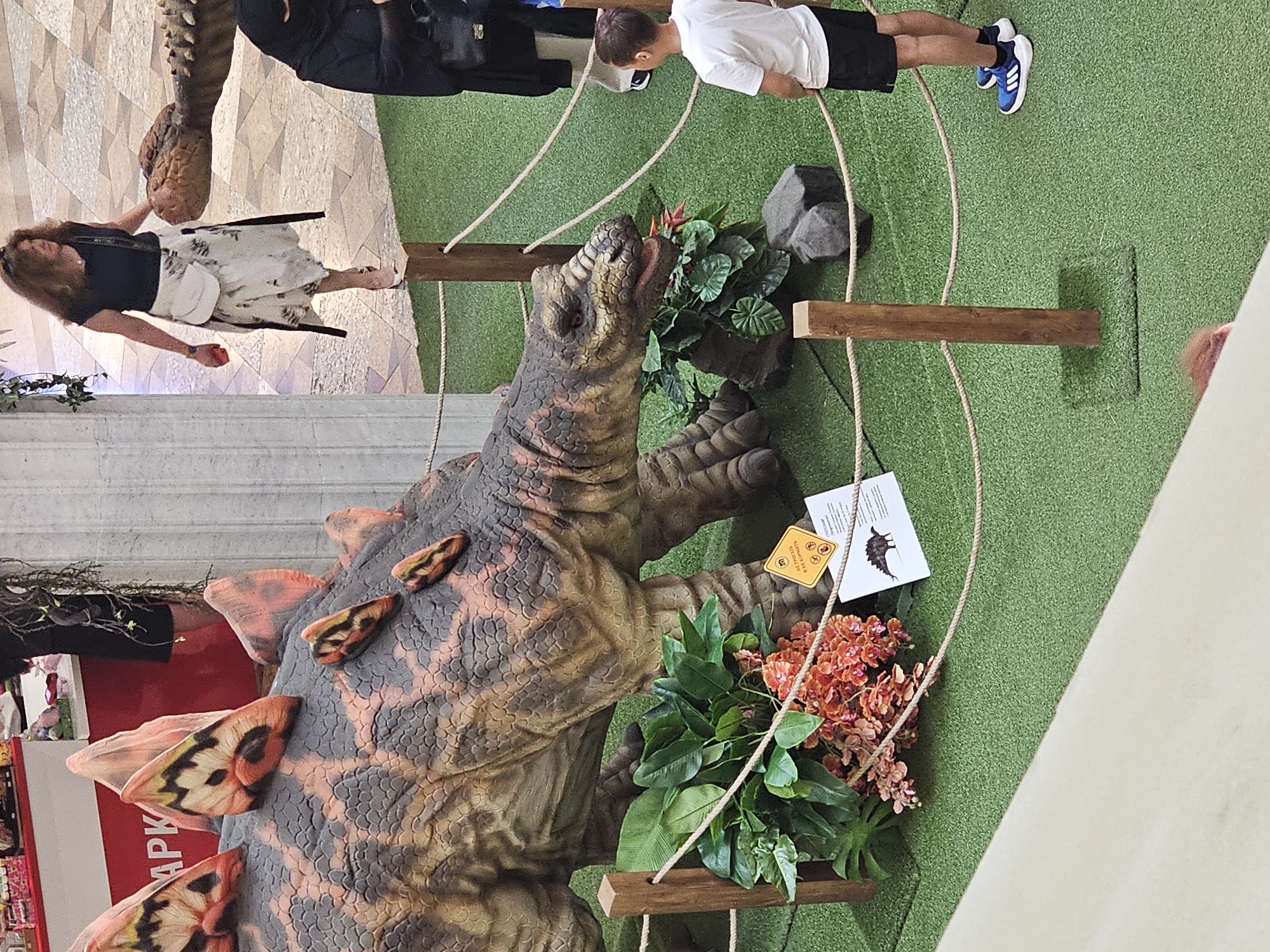 The image captures a scene inside a shopping mall, likely in Moscow, Russia, featuring a large animatronic dinosaur exhibit. A life-sized model of a Stegosaurus, with its distinctive plates and textured skin, is prominently displayed on a patch of artificial green turf. The dinosaur exhibit is cordoned off with wooden posts and rope barriers, suggesting a public viewing area.
Several individuals are present in the scene. In the foreground, a young boy wearing a white t-shirt and black shorts, along with blue and white athletic shoes, stands observing the dinosaur. To the right of the boy, a woman dressed in a black niqab and abaya stands partially visible, also facing the exhibit. In the middle ground, a woman with long, wavy brown hair wears a dark t-shirt, a white skirt, and white shoes, with a white crossbody bag. She is walking away from the dinosaur. In the background, glimpses of other shoppers and retail displays can be seen, indicating a busy commercial environment.
The overall environment suggests an indoor recreational or educational display within a shopping center. The artificial turf, artificial plants, and the well-maintained dinosaur model contribute to a curated exhibit setting. The presence of informational signs near the dinosaur further points to an educational purpose for the display. The lighting appears to be typical of an indoor mall, with a mix of ambient and potentially spot lighting to highlight the exhibit.
