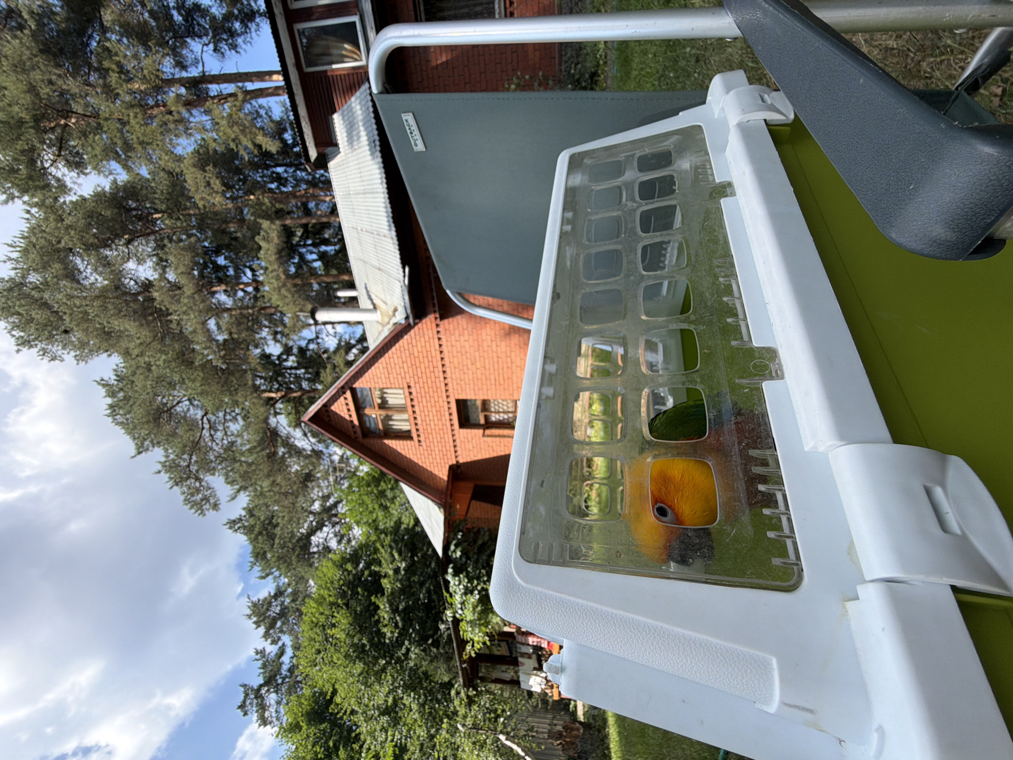 An outdoor scene in Udelnaya, Russia, features a bright green and white pet carrier in the foreground, with a sun conure parrot visible inside through a transparent plastic panel. The parrot's orange head and eye are prominent. Behind the carrier, a dark green fabric panel is attached to a metal frame, likely part of a chair or lounge. The background displays a red brick house with a white roof, nestled among lush green trees, including tall pine trees. The sky above is partly cloudy with a mix of blue sky and white clouds. The ground is covered in green grass.