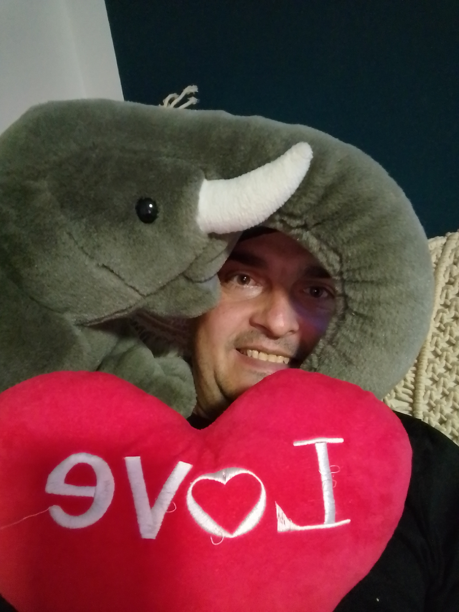 A person wearing an elephant hat is holding a red heart-shaped pillow with the word "LOVE" embroidered on it. The person is smiling and looking at the camera. The background appears to be an indoor setting. The image does not provide any information about the city of Wedel, Germany.