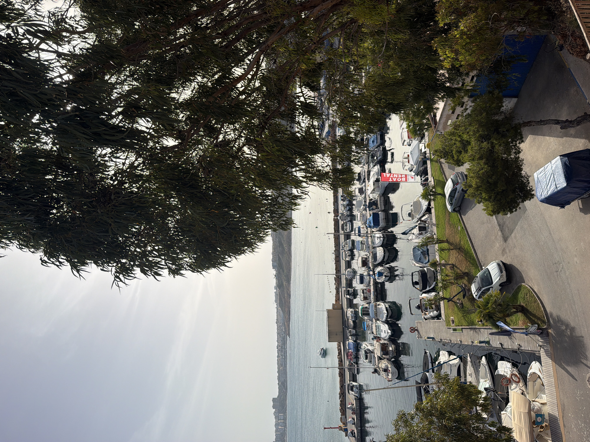 The image depicts a marina with numerous boats docked. The boats are of various sizes and types, some covered with tarpaulins. The water in the marina appears calm. A pier runs alongside the docked boats. On the land adjacent to the marina, there is a paved area with a white car parked. Trees and some vegetation are also visible. In the background, there is a body of water, likely the sea, with a distant coastline featuring buildings. The sky is bright, suggesting daytime. A red sign with white text is visible, which appears to say "BOAT RENTAL". The overall scene is one of a functional marina, likely a tourist area given the boat rental sign. The image is taken from an elevated perspective, looking down onto the marina and surrounding area. The light suggests it is daytime, possibly late morning or early afternoon.