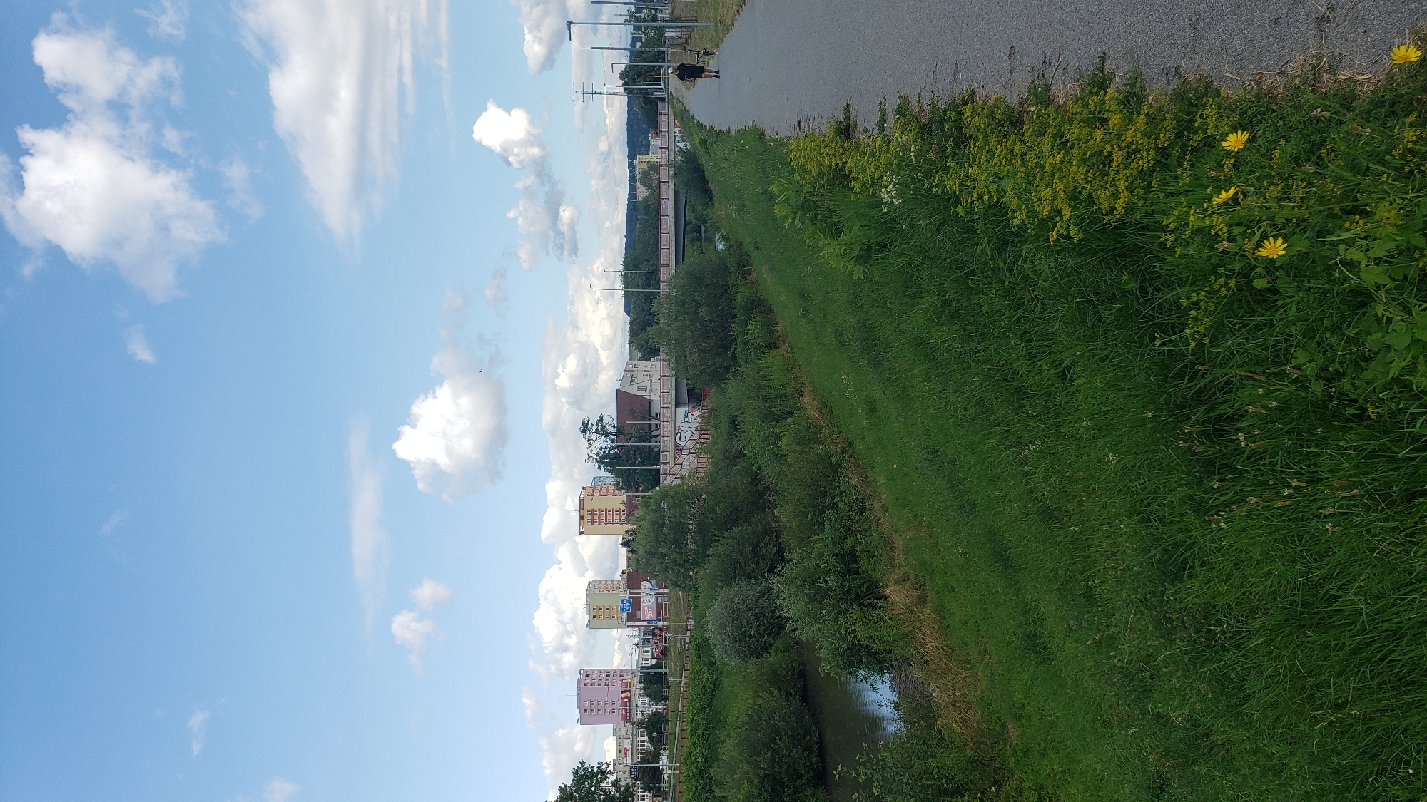 This is a vertical, eye-level, full-shot photograph taken on a sunny day, likely in the city of Prešov, Slovakia, depicting a paved walkway alongside a green embankment. In the foreground and midground, a well-maintained asphalt walkway extends diagonally from the right towards the left, bordered by a strip of short, yellow-flowered plants and lush green grass. Further to the left, the grassy embankment slopes down to a calm, narrow river or canal, its banks densely covered with various green bushes and trees.
In the background, across the river, a cityscape unfolds. Several multi-story residential buildings, painted in pastel colors such as pink, light yellow, and light green, are visible. A red-railed bridge, with graffiti visible on its lower structure, spans the river. Beyond the buildings, a hazy treeline and hills form the horizon. The sky is a clear, bright blue, dotted with fluffy white cumulus clouds.
On the walkway, a lone individual, dressed in dark clothing, is walking away from the camera, towards the left of the frame. A small dog is visible near this person, on a leash. The overall scene suggests a pleasant outdoor environment for recreation within an urban setting.