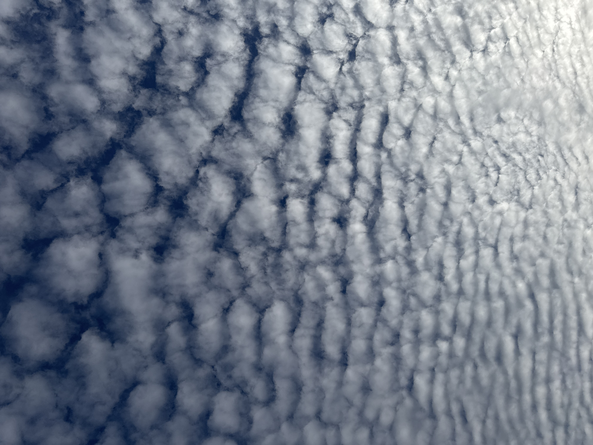 The image shows a sky filled with altocumulus clouds, creating a rippled, wave-like pattern against a blue background. The clouds appear to be aligned in rows, suggesting atmospheric waves or wind shear. The perspective seems to be looking upwards, and the lighting is bright, with some areas of shadow and highlights on the clouds. The location is identified as Orsay, France.