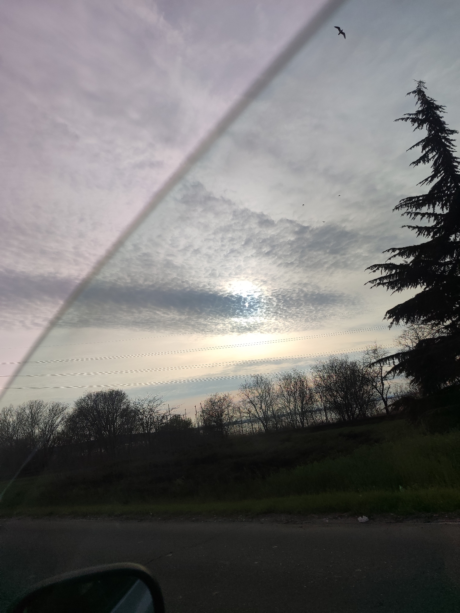 The image captures a view through what appears to be a vehicle window, possibly the windshield, indicated by a vertical distortion on the left side. The scene is dominated by a cloudy sky with the sun obscured by the clouds, appearing as a bright area. In the upper right, there's a silhouette of a large coniferous tree, likely a pine or cedar. Several birds are visible in the sky, one prominently in flight.
Below the sky, a line of trees with bare branches stretches across the horizon, suggesting it's either late autumn or early spring. There also appear to be some power lines running horizontally through the sky. Beneath the trees is a grassy embankment leading down to a road, which is the foreground of the image. The lower portion of the frame shows part of the vehicle's interior, including the side mirror housing.
Without additional landmarks or clues, providing a precise location within Burgas, Bulgaria is not possible based on the available visual information.