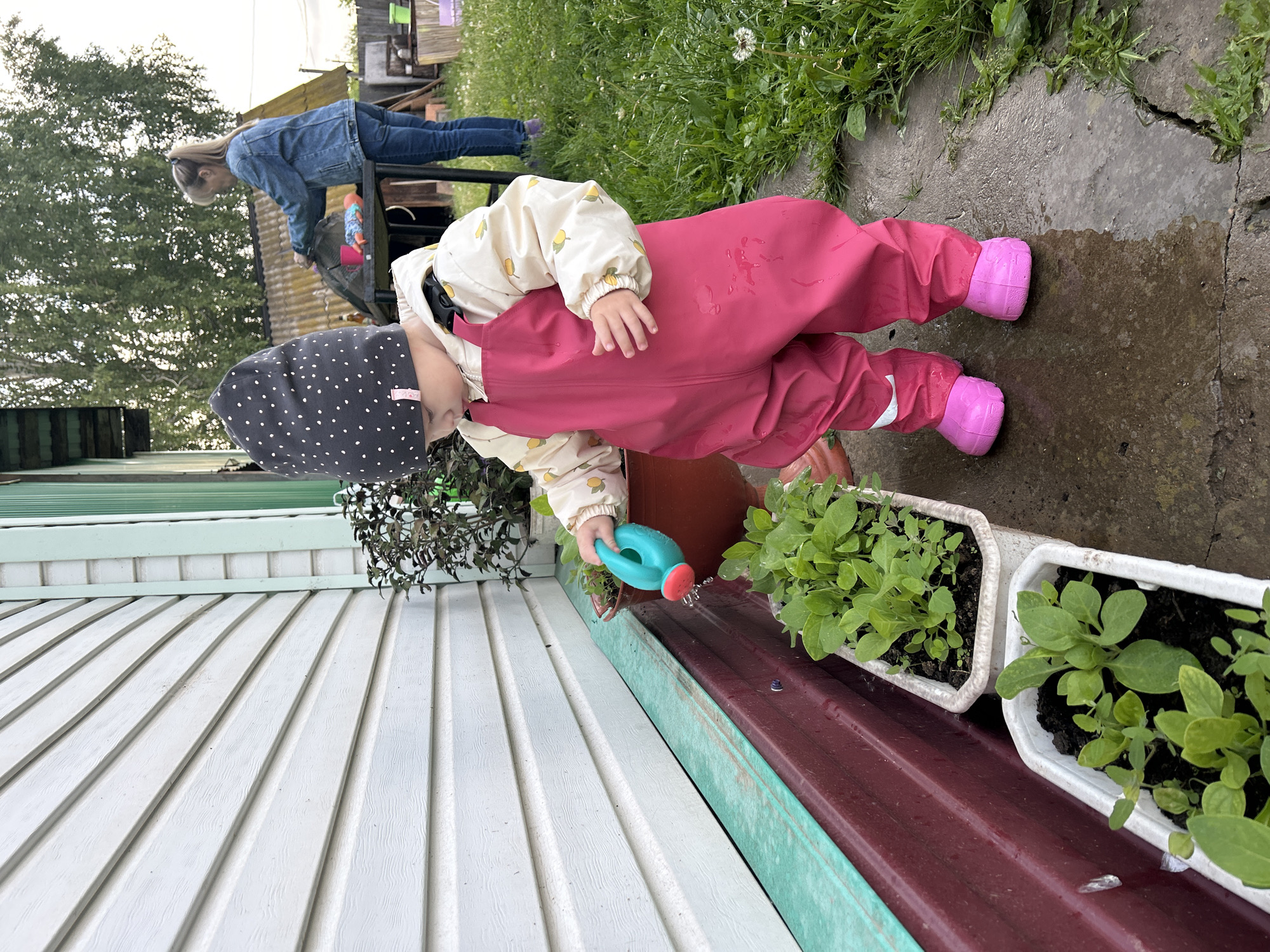The image, taken in Азинский, Russia, displays an outdoor domestic scene featuring two individuals: a young child and an adult female. In the foreground, a child, likely a toddler, stands facing left, wearing a dark grey beanie with white polka dots, a cream-colored jacket with yellow lemon patterns, and bright pink waterproof overalls covering pink footwear. The child holds a small teal plastic watering can with a red spout, actively directing water onto small green plants contained within two white rectangular planters on the ground. Water droplets are visible on the pink overalls and on the grey concrete path below, which shows puddles and cracks.
To the immediate left of the child, a brown plant pot is partially visible, containing foliage. Further left, a building facade exhibits white horizontal siding above a horizontal light teal panel, which in turn sits above a dark red corrugated base panel. In the middle ground, positioned behind and to the right of the child, an adult female is observed from behind. She wears a blue denim jacket and blue jeans, with her hair tied back in a ponytail. She is engaged in an activity at a dark, possibly metal, table or structure, upon which a red mug and other items are present. The background consists of abundant green vegetation, including large trees with dense foliage, and grassy areas containing scattered weeds. The ground transitions from concrete to grass on the right side of the frame.
