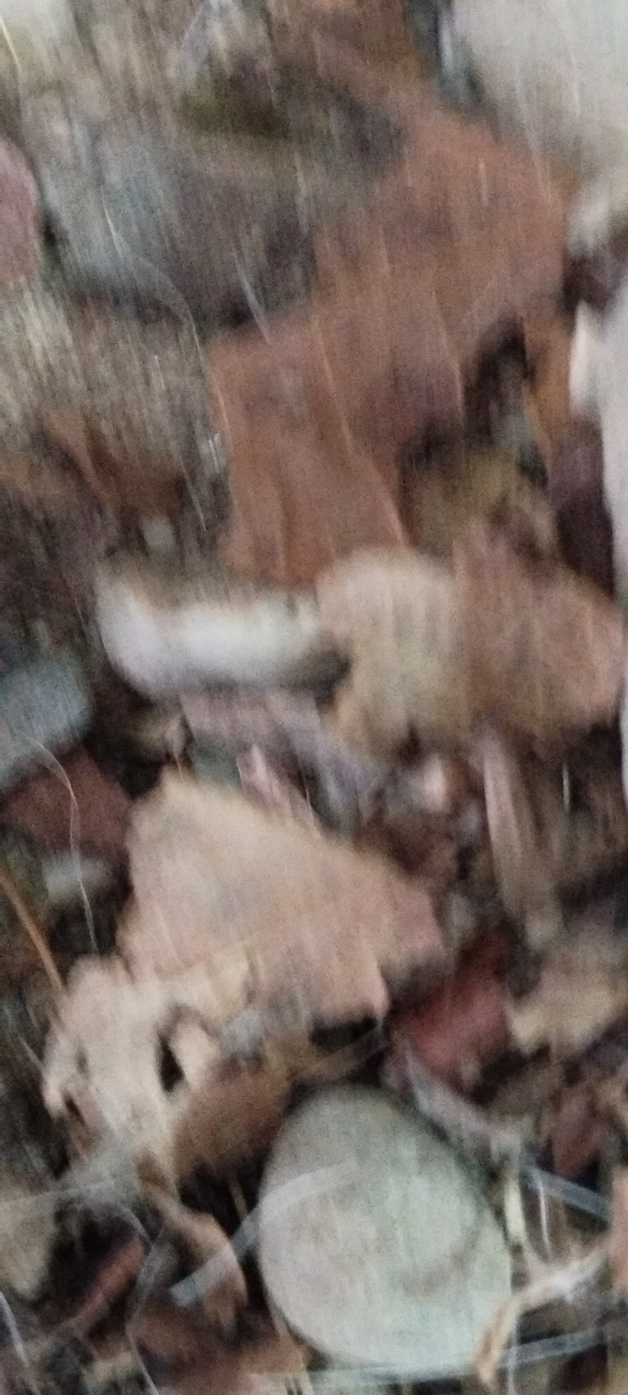 The image depicts a ground-level view of a surface covered in fallen leaves and possibly some rocks. The leaves appear to be in various stages of decay, with colors ranging from brown to reddish-brown, and some muted greens and grays. The texture of the ground is uneven and appears to be a natural outdoor setting. Due to the motion blur and low resolution, specific details about individual leaves or other objects are indistinct. There is no indication of any identifiable landmarks or structures that would suggest a specific location within Yaroslavskaya, Russia. The scene is devoid of any human presence or activity.