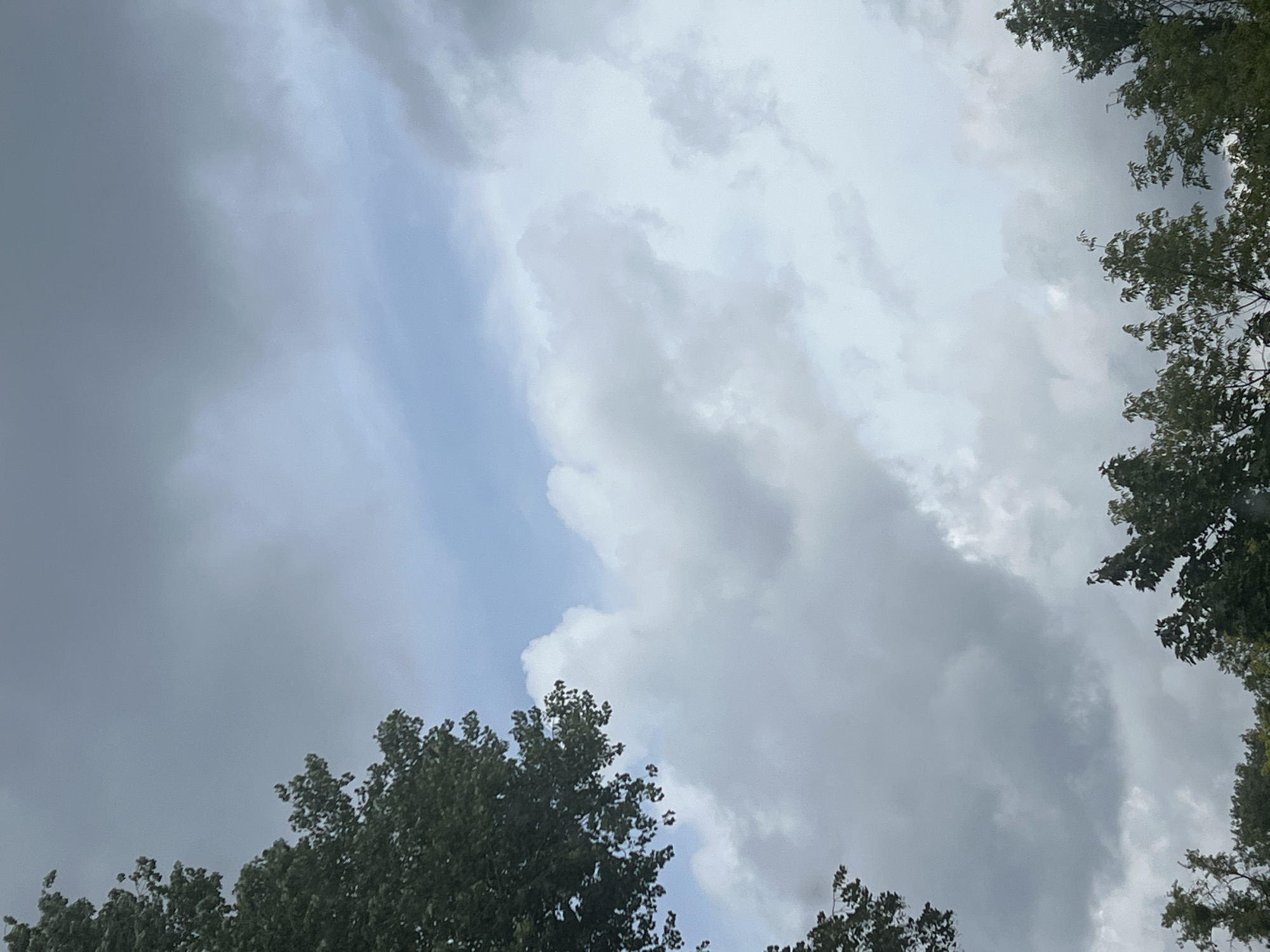 The image shows a sky with scattered clouds and the tops of trees. The sky is a mix of light blue and grey. The clouds are white and fluffy, with some darker grey areas. The trees are green and leafy, and they are silhouetted against the sky. The scene appears to be outdoors, likely in a park or natural area. There is no indication of the specific location in Warsaw, Poland, or any people or actions.