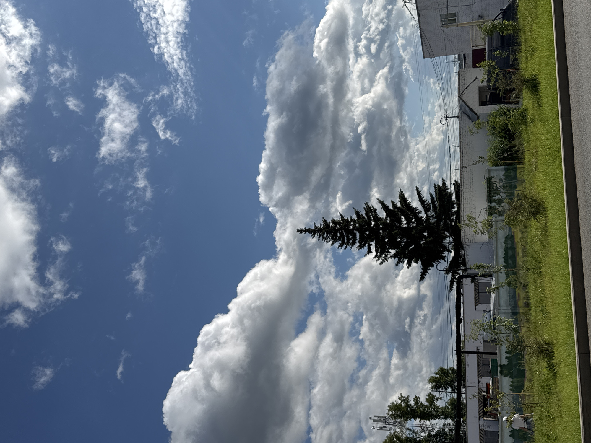 This is a vertical, low-angle shot of a bright blue sky filled with dramatic, fluffy white clouds, some of which are tinged with gray, suggesting a mix of sun and potential rain. The clouds are large and textured, occupying the majority of the frame.
In the lower portion of the image, a dark green, conical evergreen tree is silhouetted against the sky. To the right of the tree, a strip of vibrant green grass runs horizontally along the bottom edge. Behind the grass, a row of buildings is visible. These appear to be low-rise structures, with white brick exteriors and visible windows. Some of the buildings have a slightly dilapidated look, with some unfinished or broken sections. Electrical wires stretch across the scene, attached to poles. A cellular tower is also visible in the distance, peeking above the trees and buildings. The overall impression is of an outdoor, possibly urban or suburban, setting on a clear but cloudy day. The lighting suggests it's daytime, likely late morning or afternoon, given the brightness. There is no discernible text in the image.